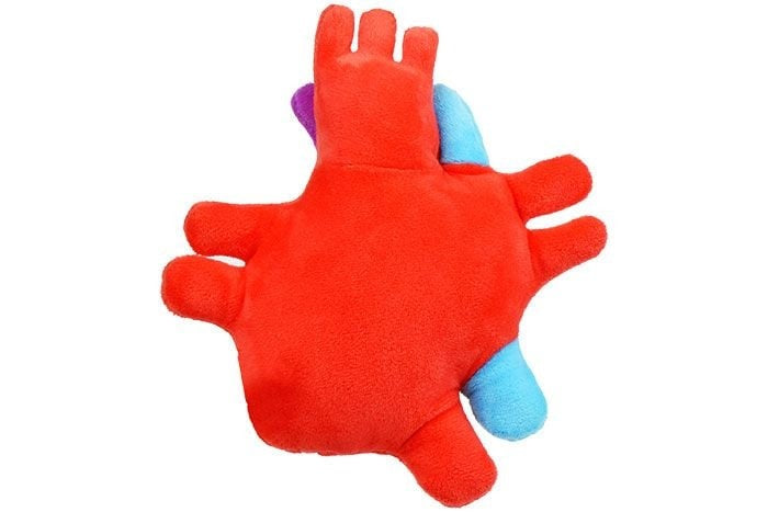 Giant Microbes Heart Organ