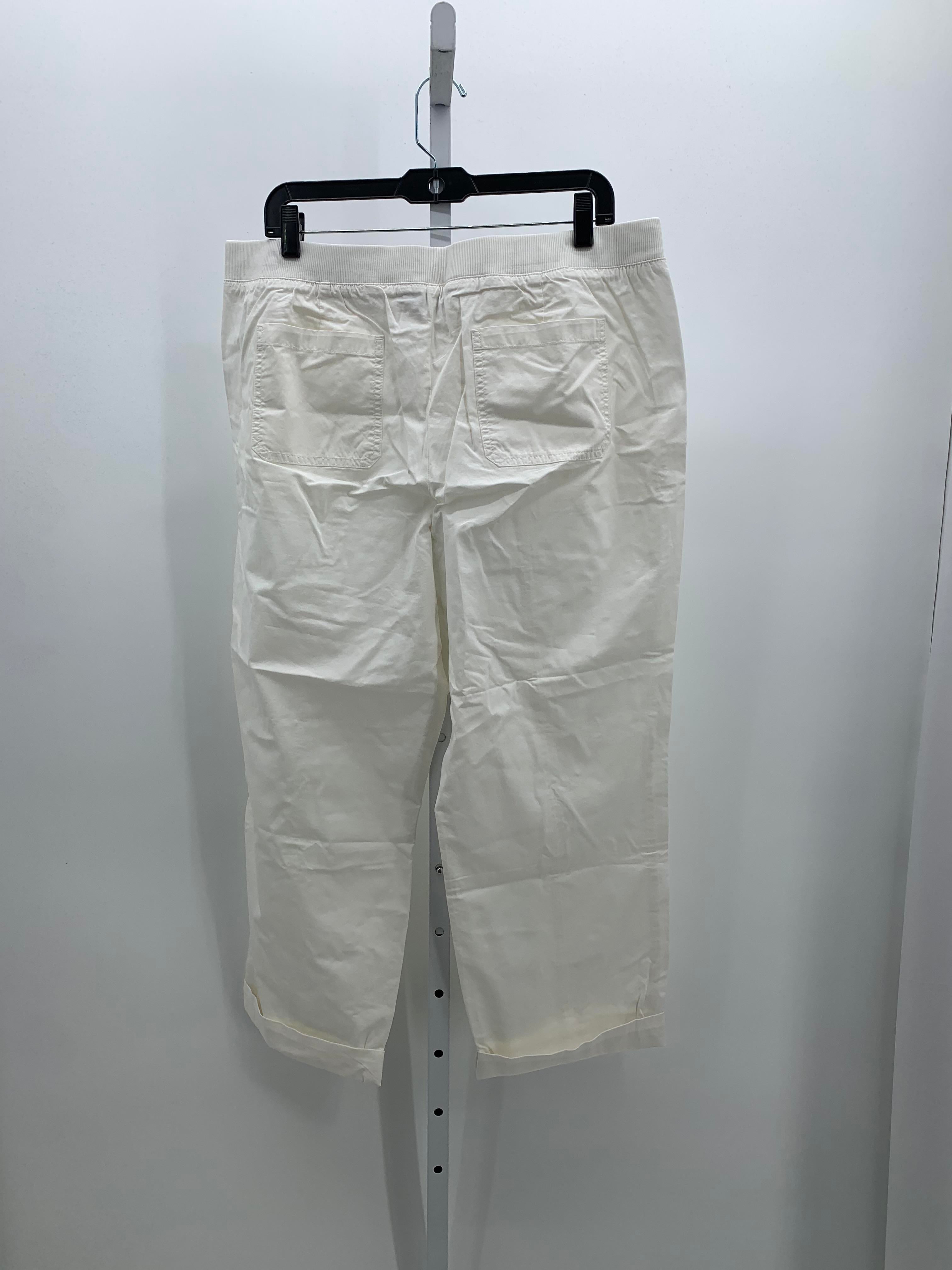 Talbots Size 16 Misses Pants