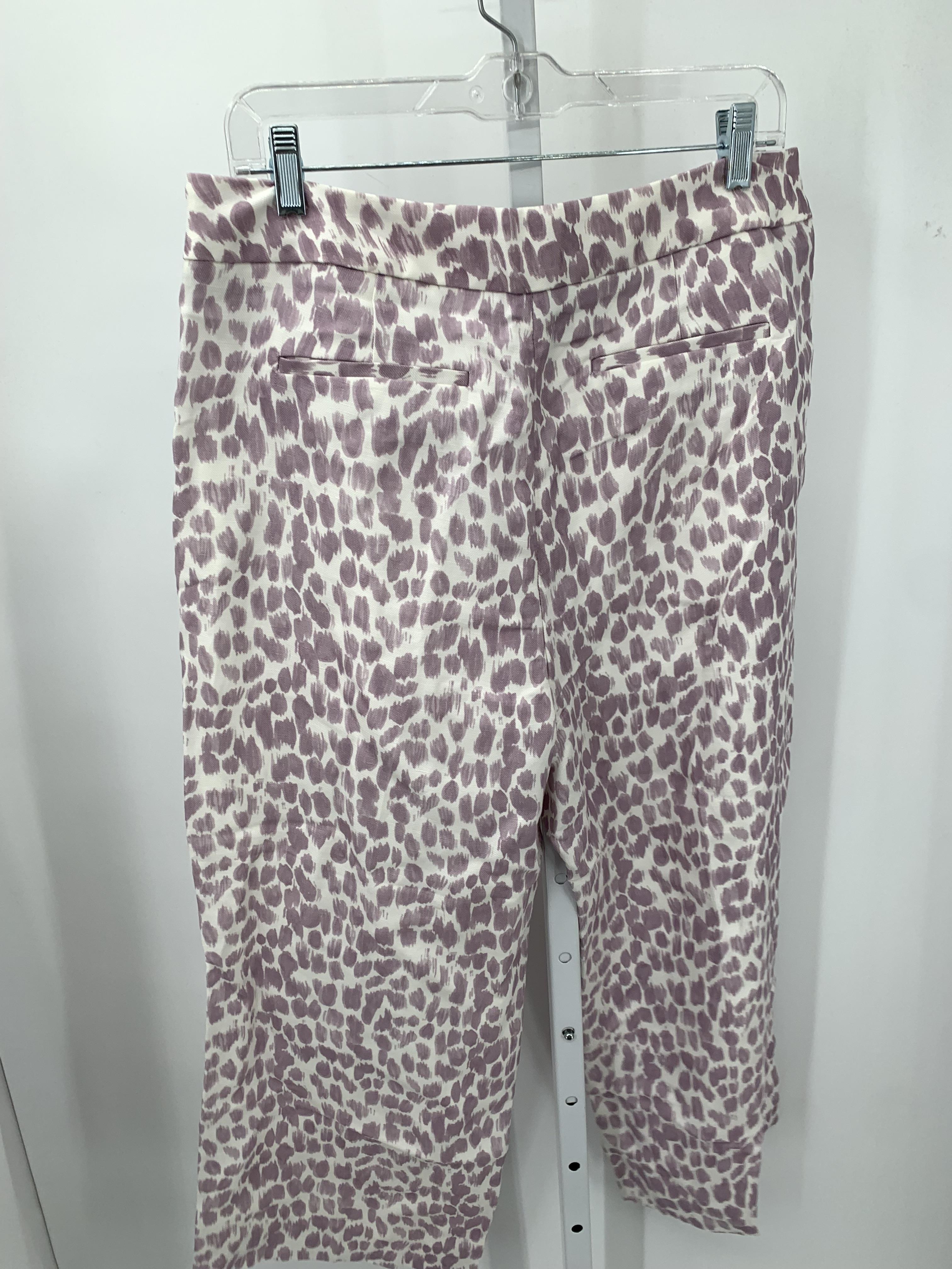 J. Crew Size 12 Misses Pants