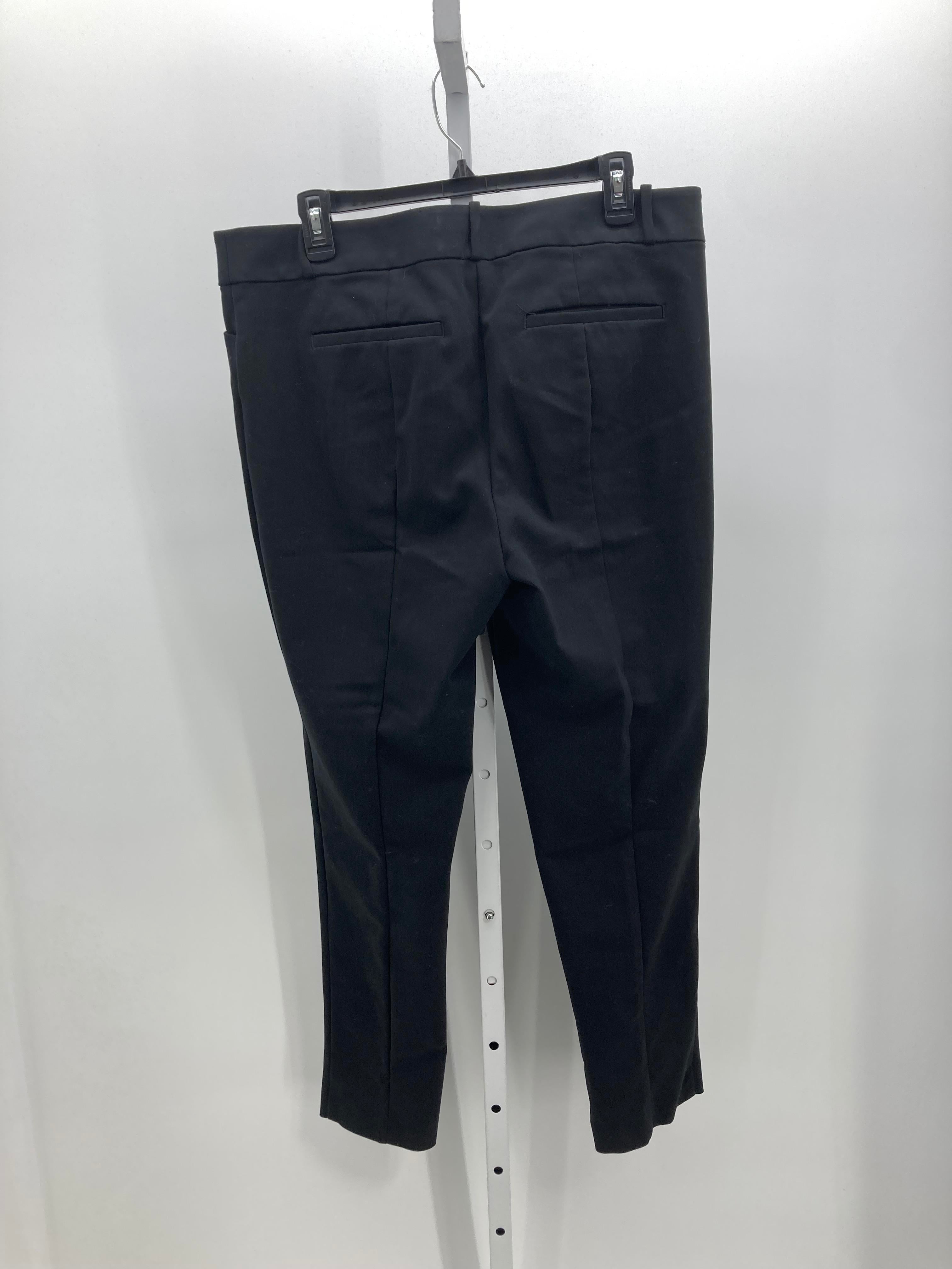 Loft Size 12 Misses Pants