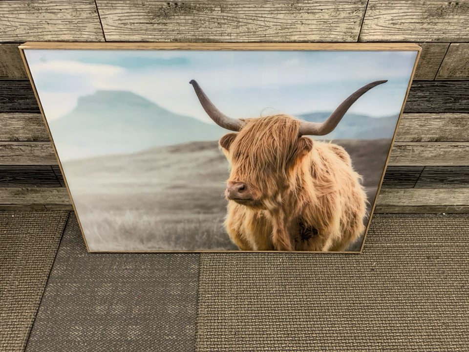 HIGHLAND COW PHOTO IN WOOD FRAME.