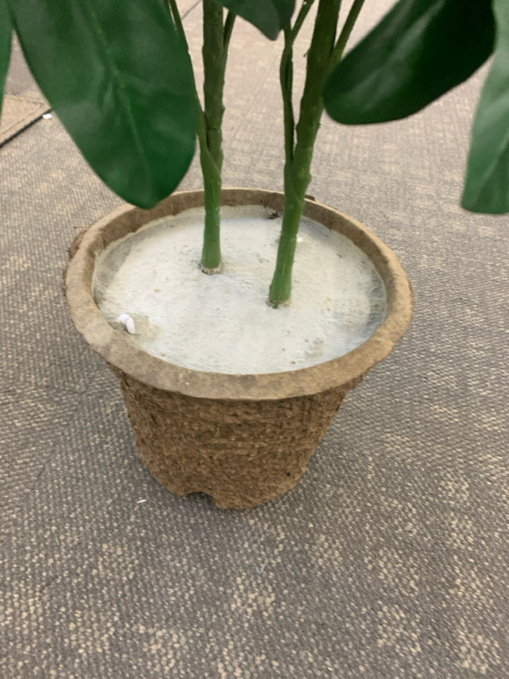 TALL FAUX PLANT IN CEMENT POT.