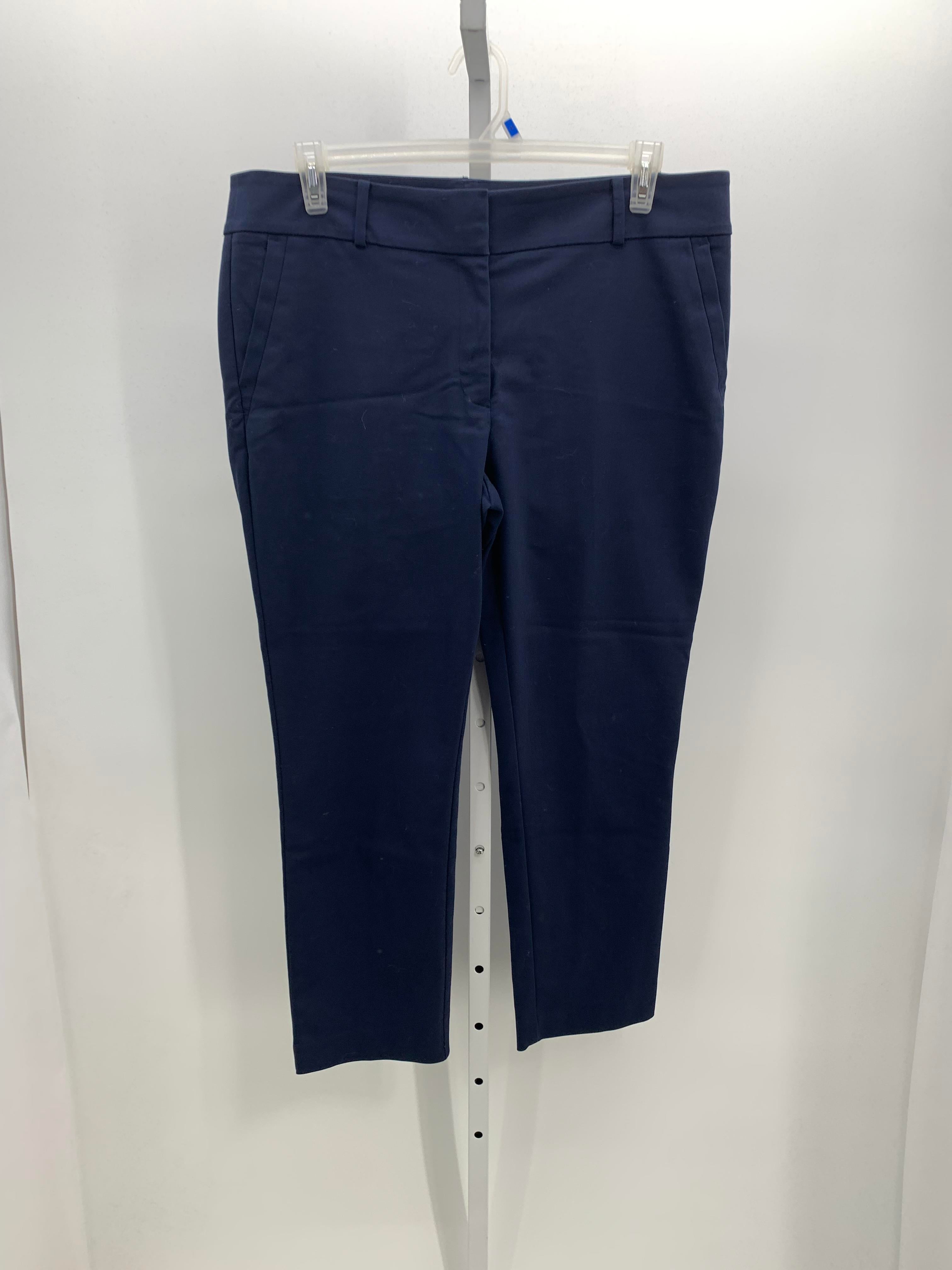 Loft Size 16 Misses Pants
