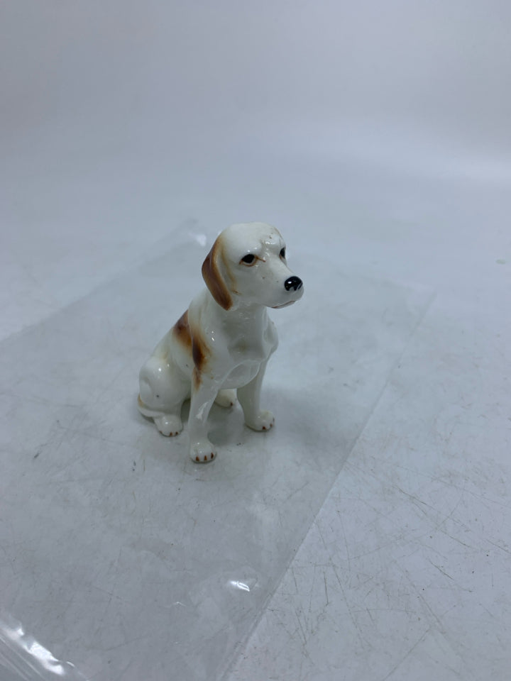 WHITE/TAN DOG IN BAG.