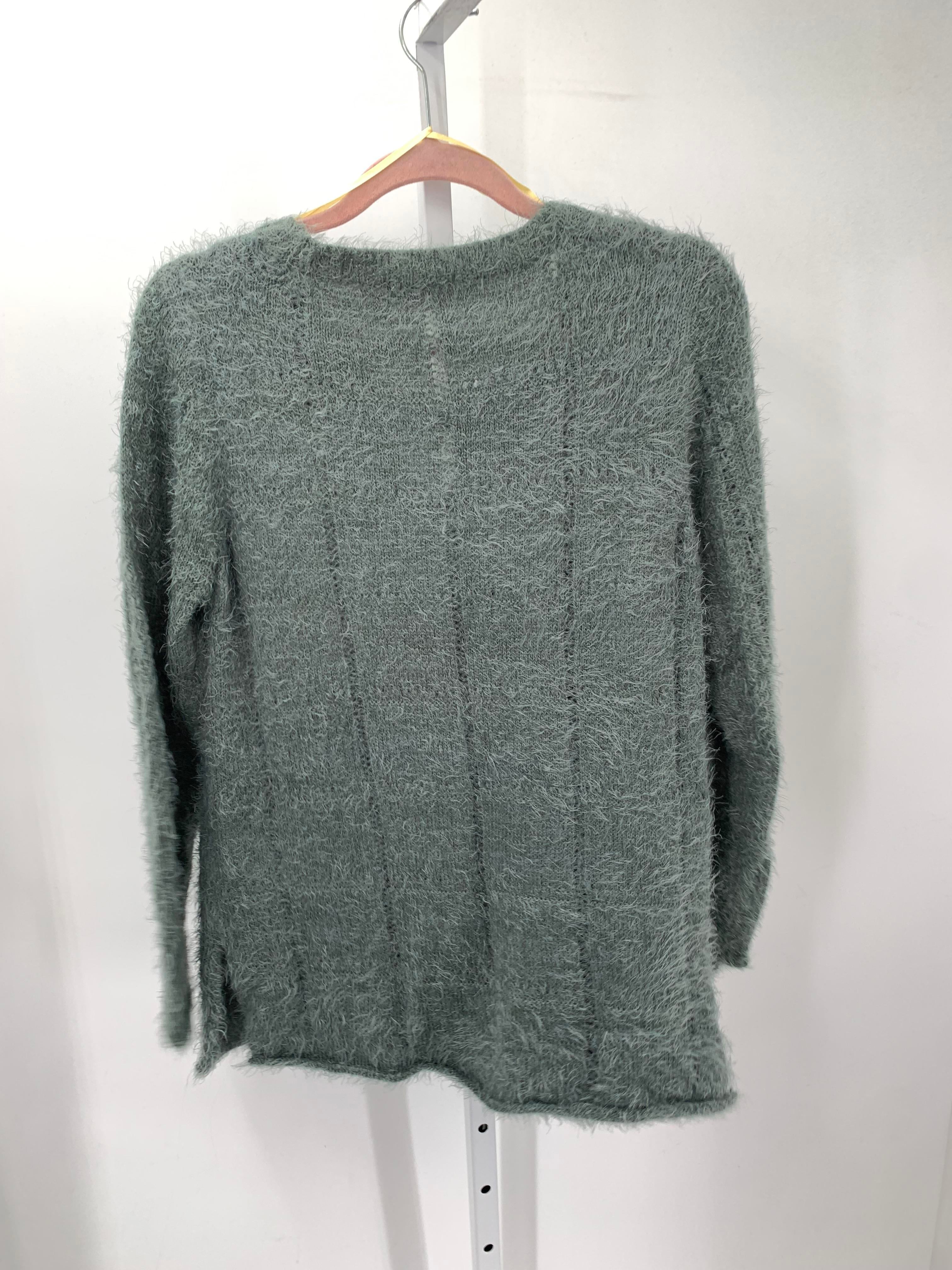 Democracy Size Large Misses Long Slv Sweater