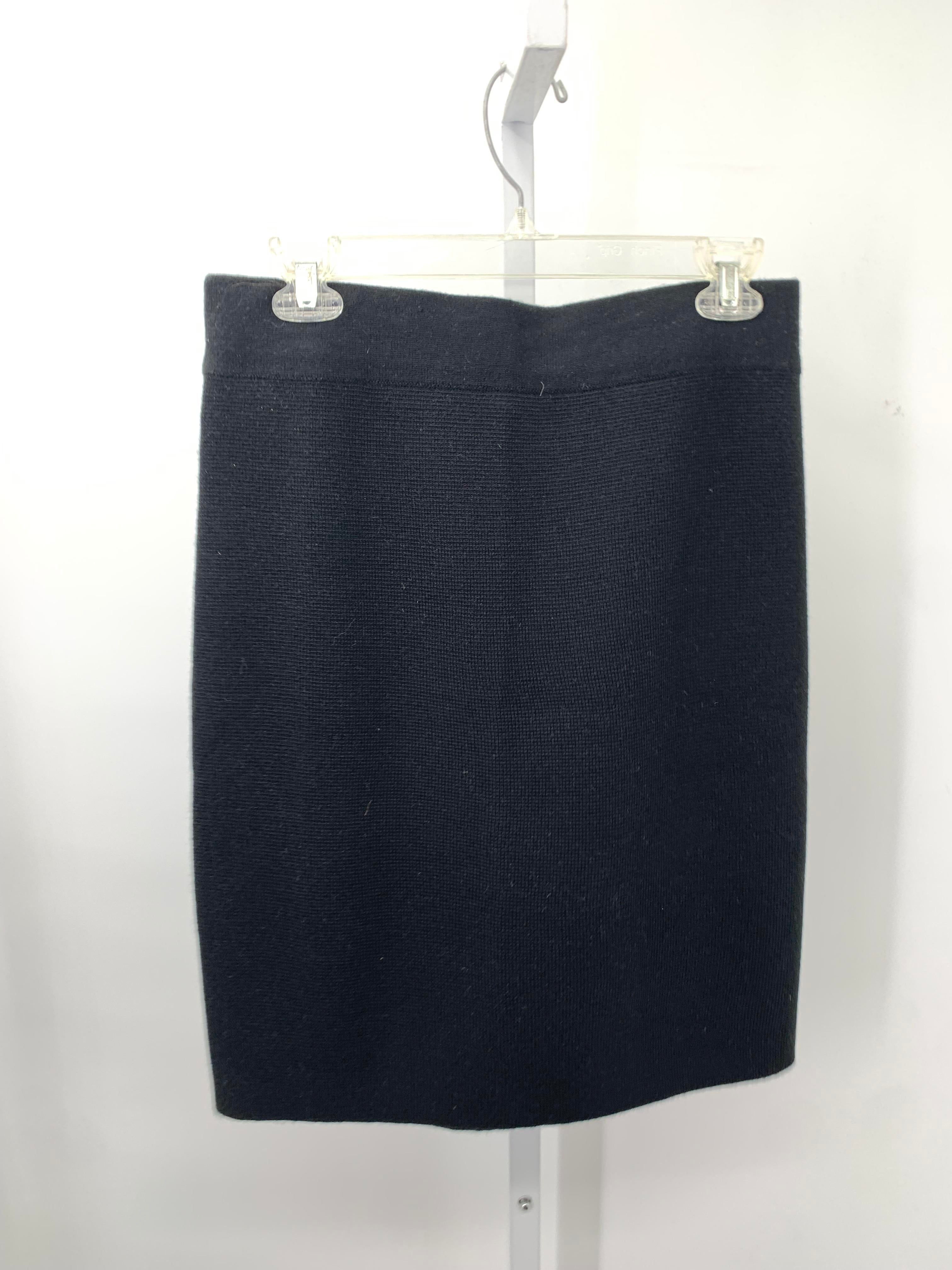 Ann Taylor Size Small Misses Skirt