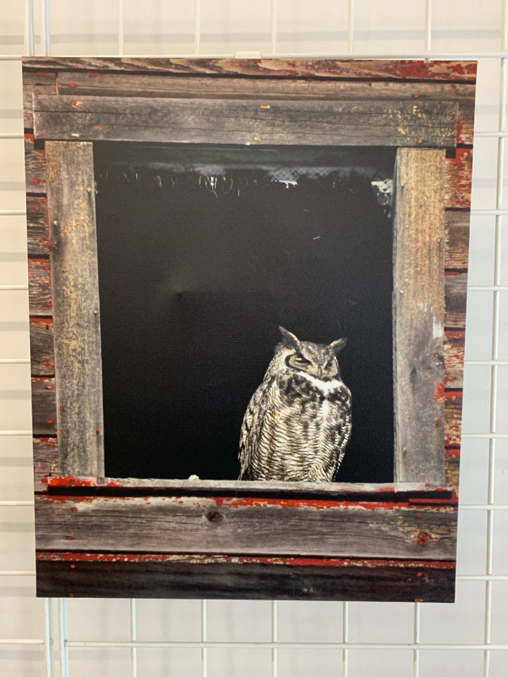 OWL IN WINDOW FRAME CANVAS PRINT.