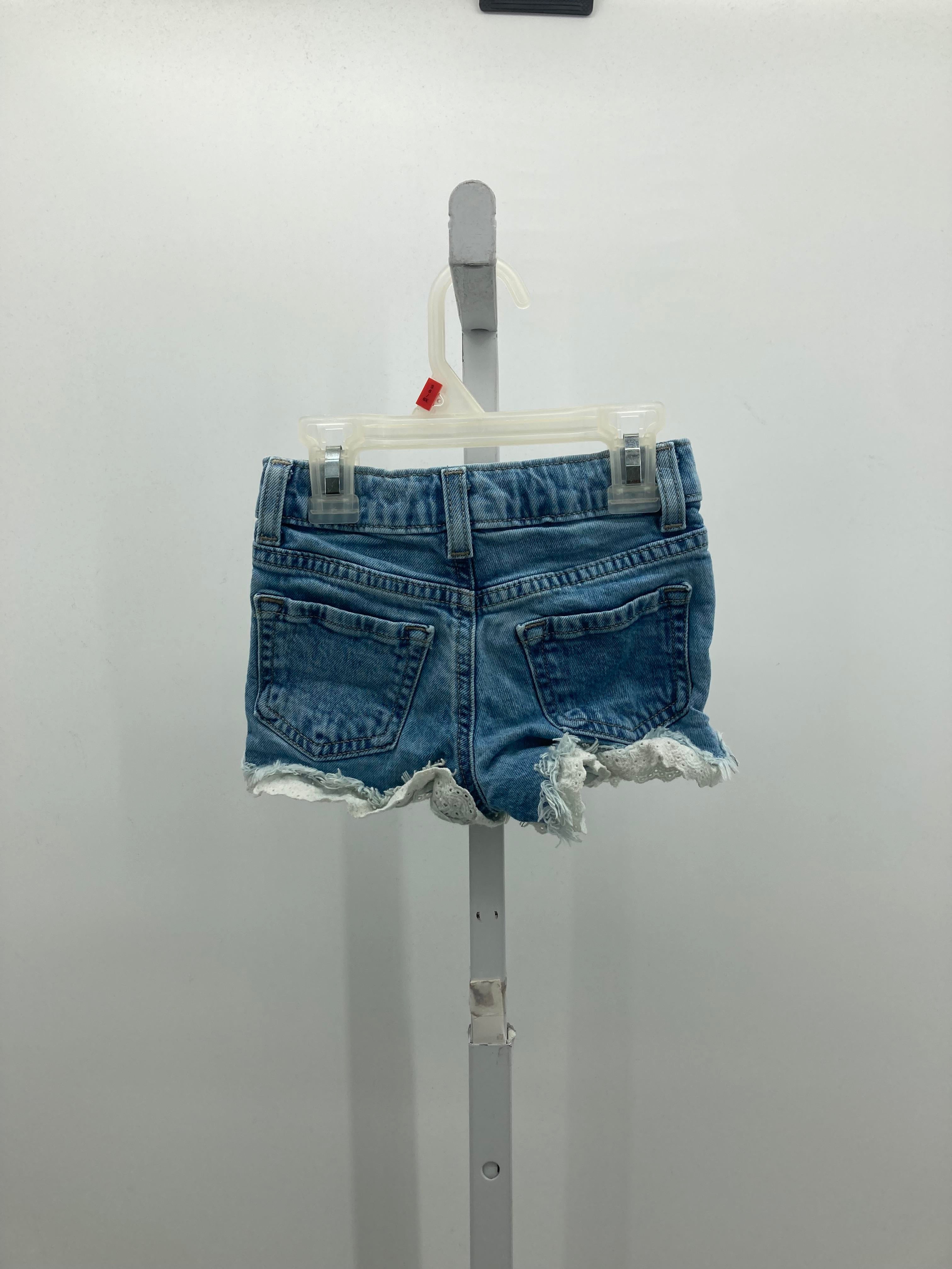 Cat & Jack Size 4T Girls Shorts