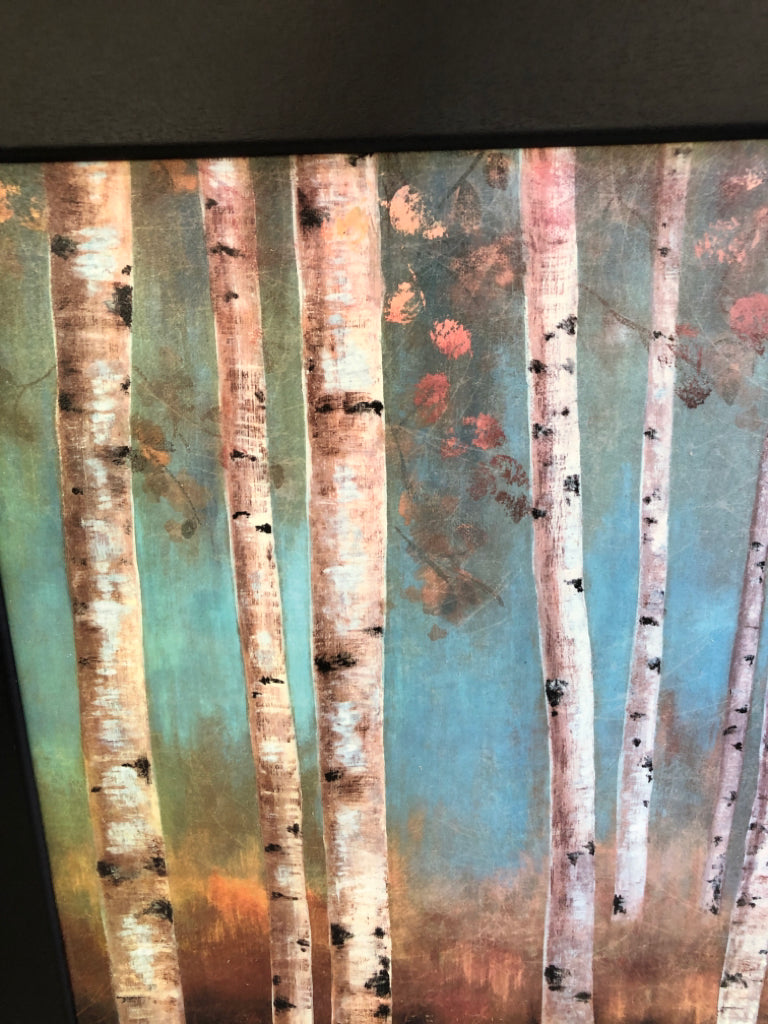 BIRCH TREE PAINTING IN BLACK FRAME.