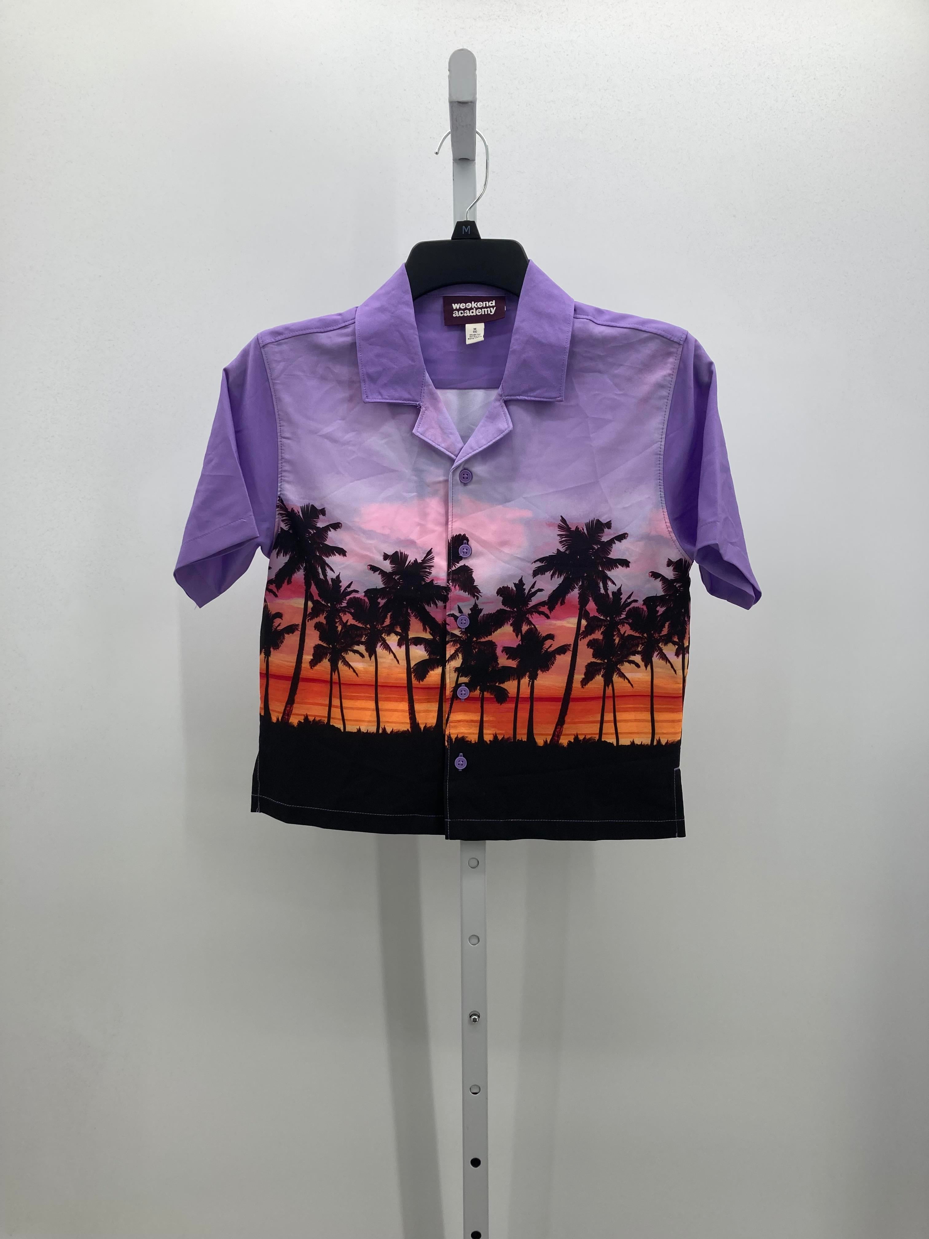 PALM TREES.