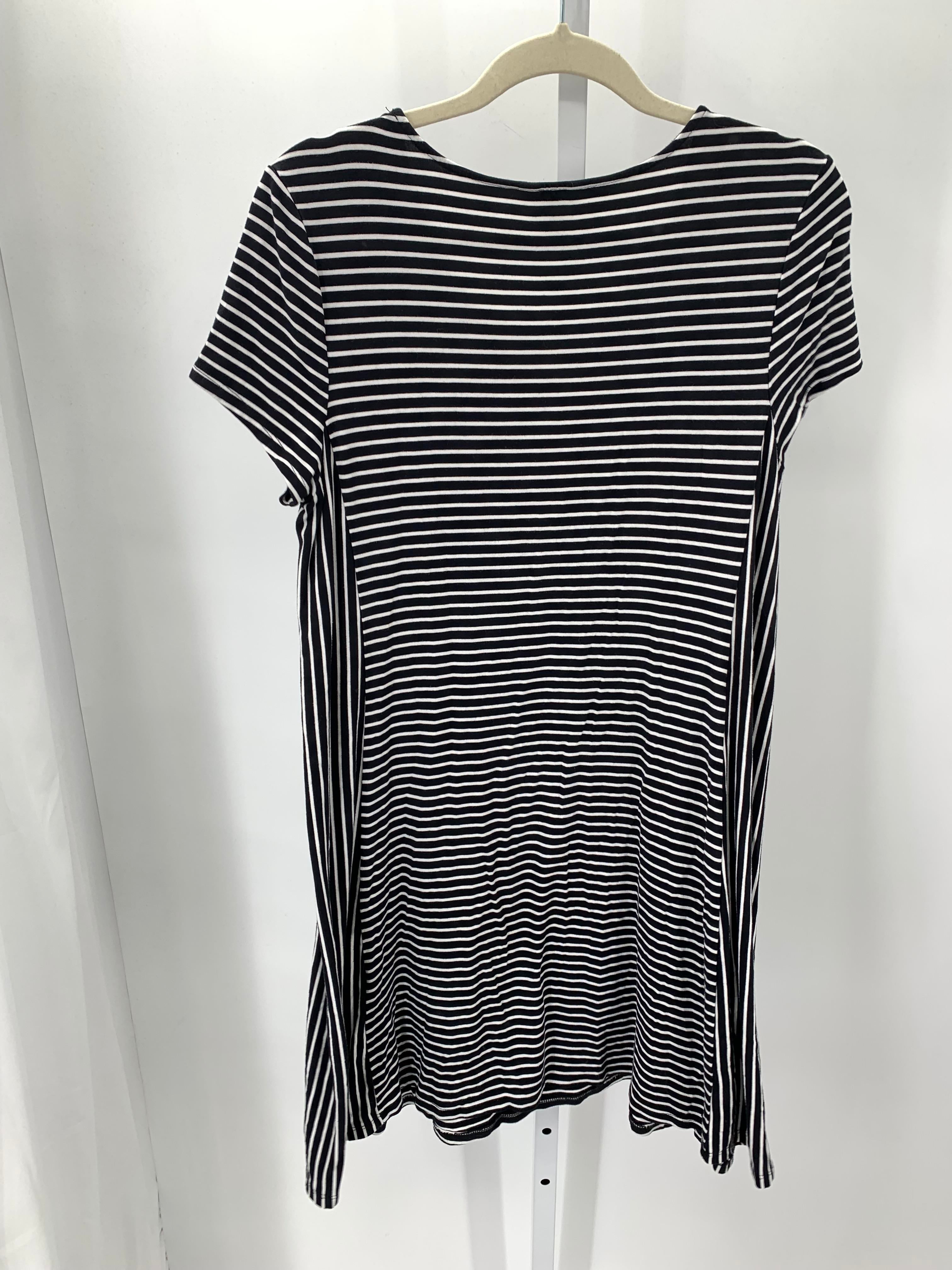Intro Size Medium Petite Petite Short Sleeve Dress