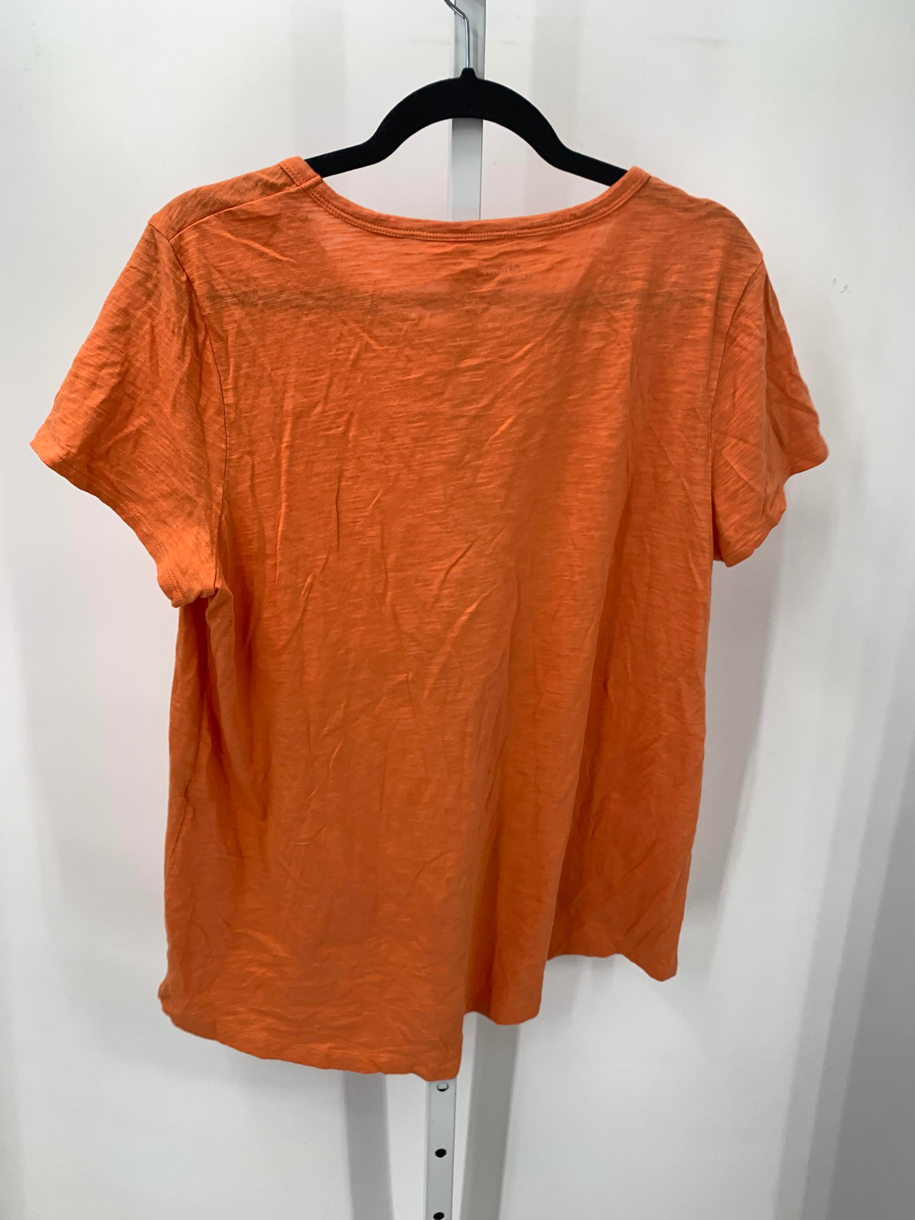 Chico's Size Medium Misses Short Sleeve Shirt