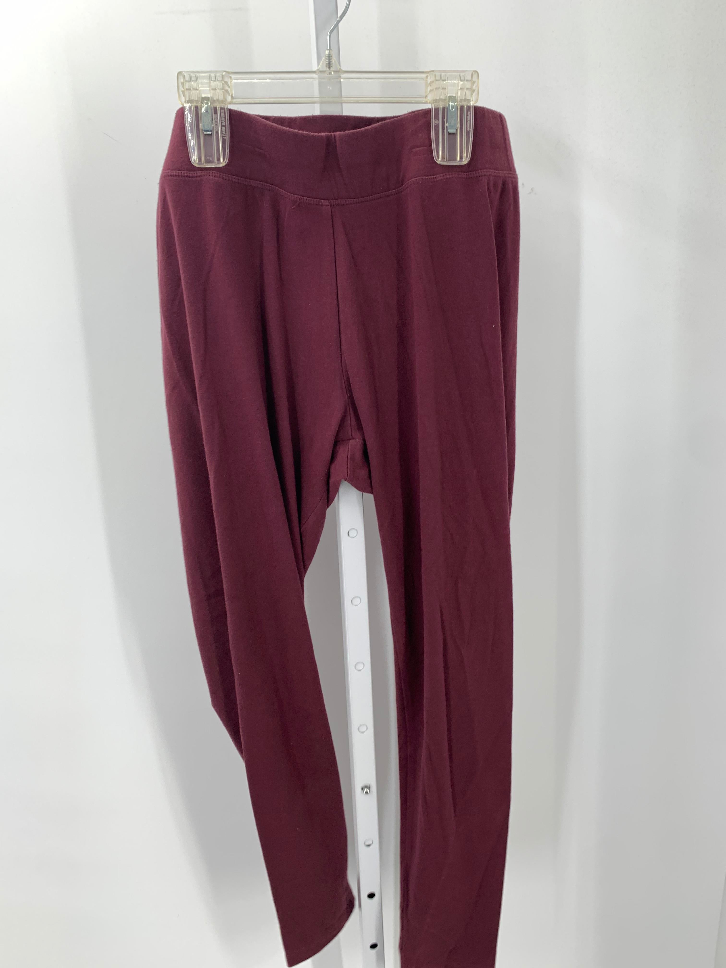 Sonoma Size Large Misses Pants