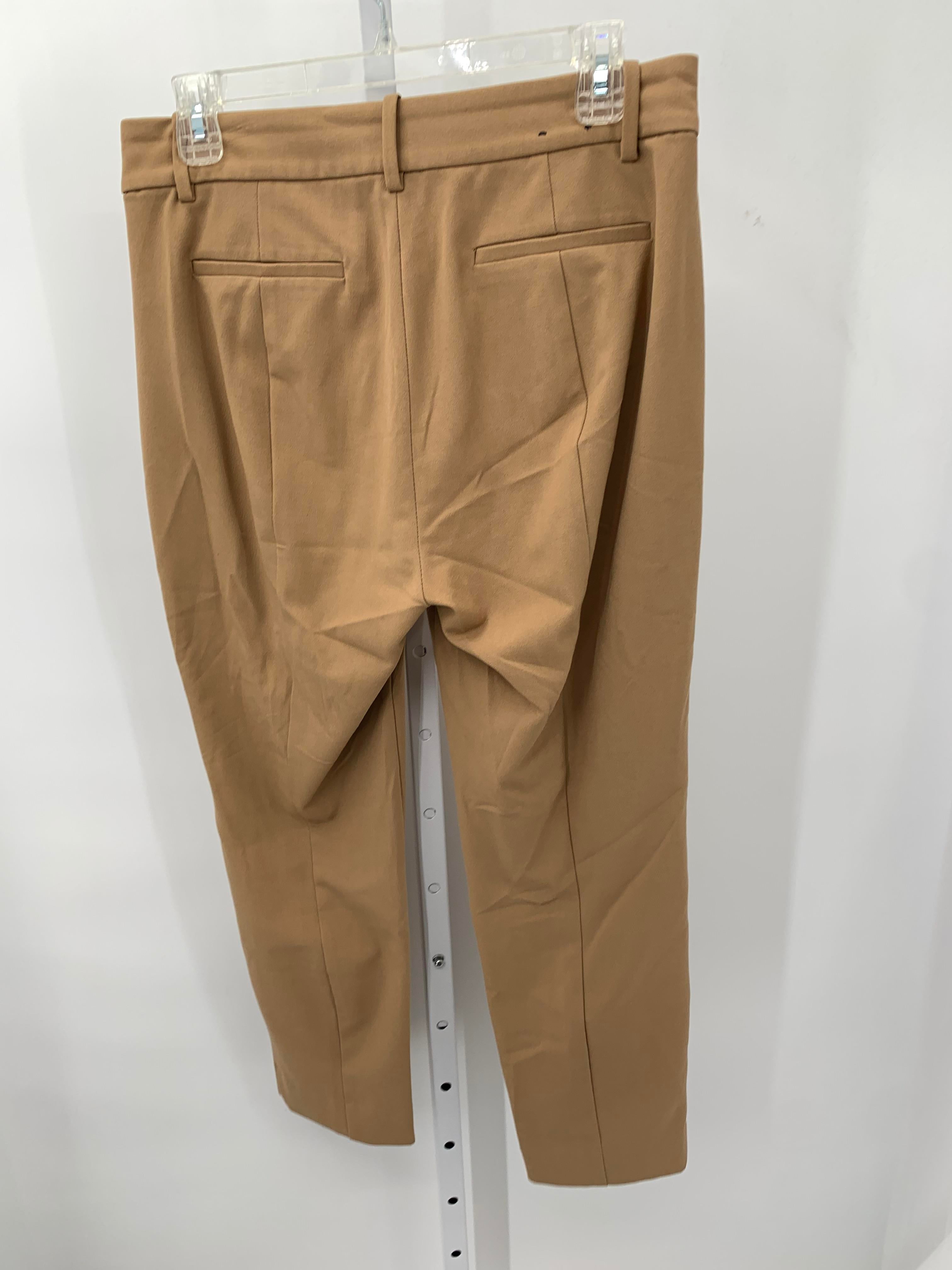 J. Crew Size 8 Petite Petite Cropped Pants