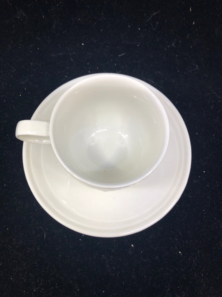 9 PC TEA POT + 4 CUP/SAUCERS -FOCUS PATTERN.