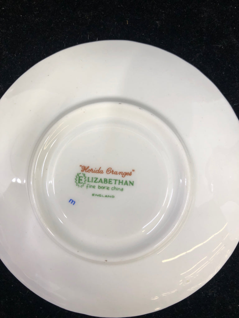 VTG ORANGE FRUIT "FLORIDA CHANGES" CUP/SAUCER.