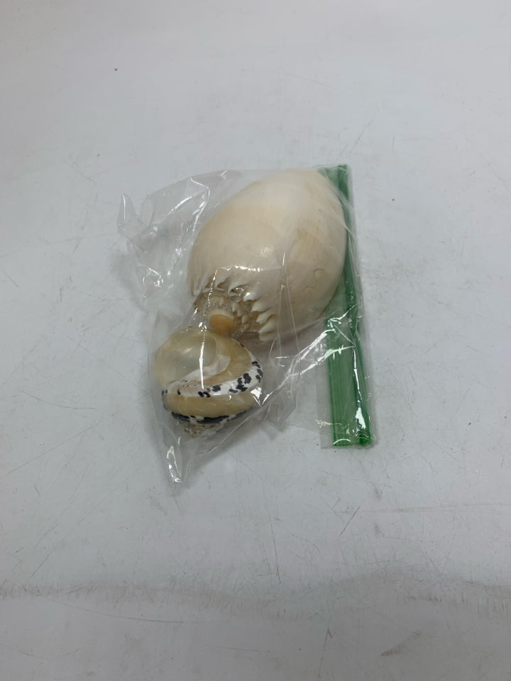 ASSORTED SHELLS IN BAG.