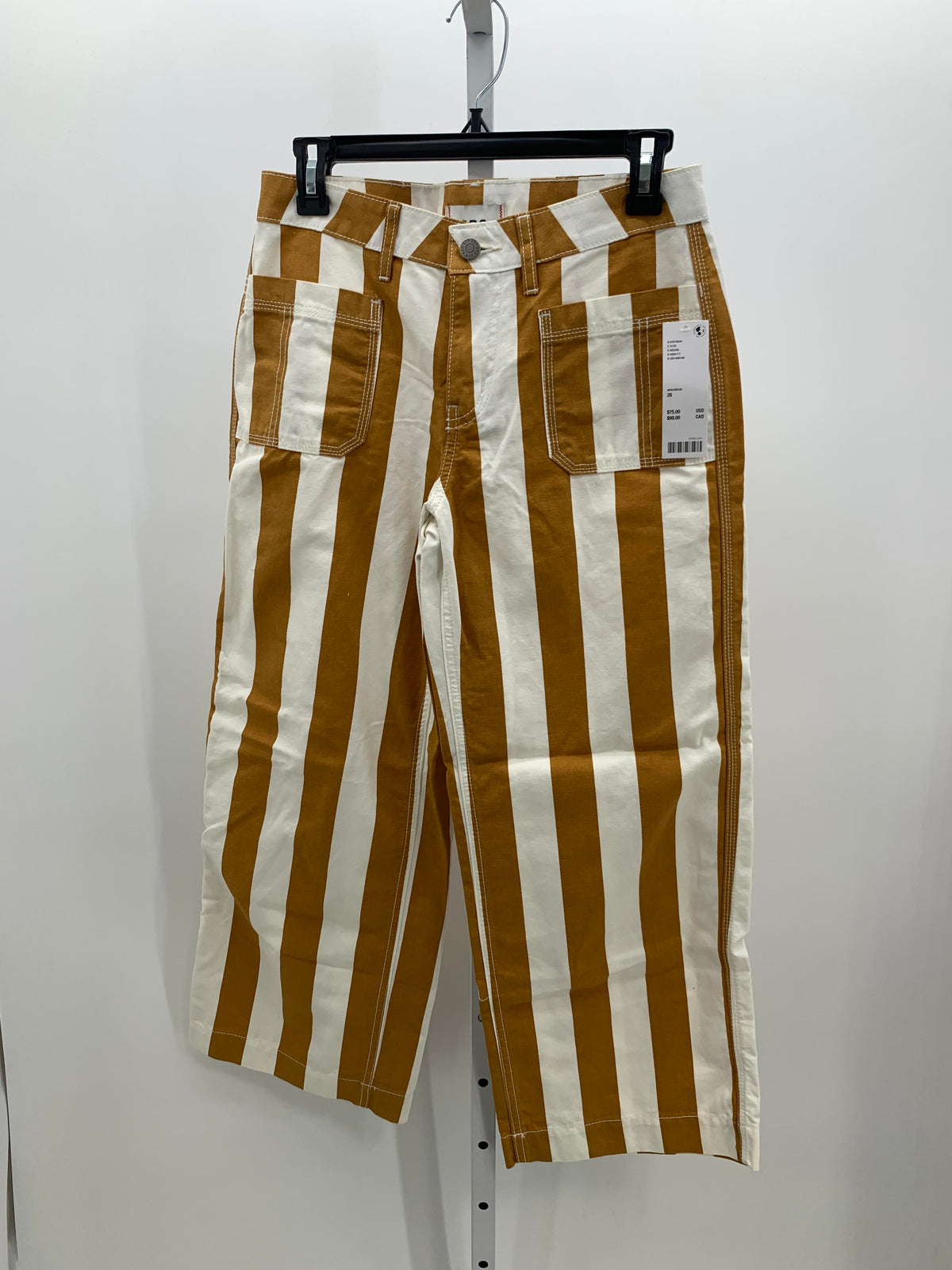 BDG Size 2 Juniors Pants