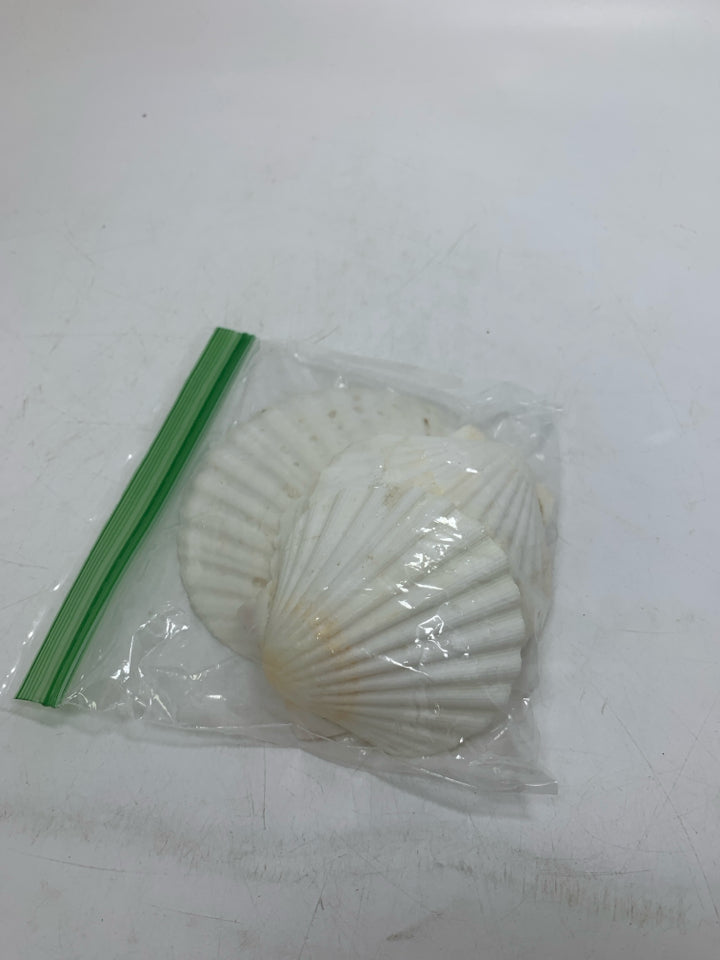 5 FLAT WHITE SHELLS IN BAG.
