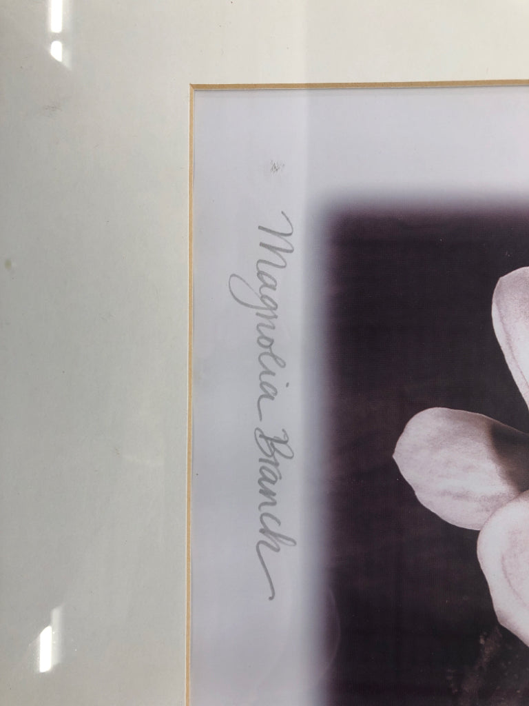 MAGNOLIA BRANCH SIGNED FRAMED ART.