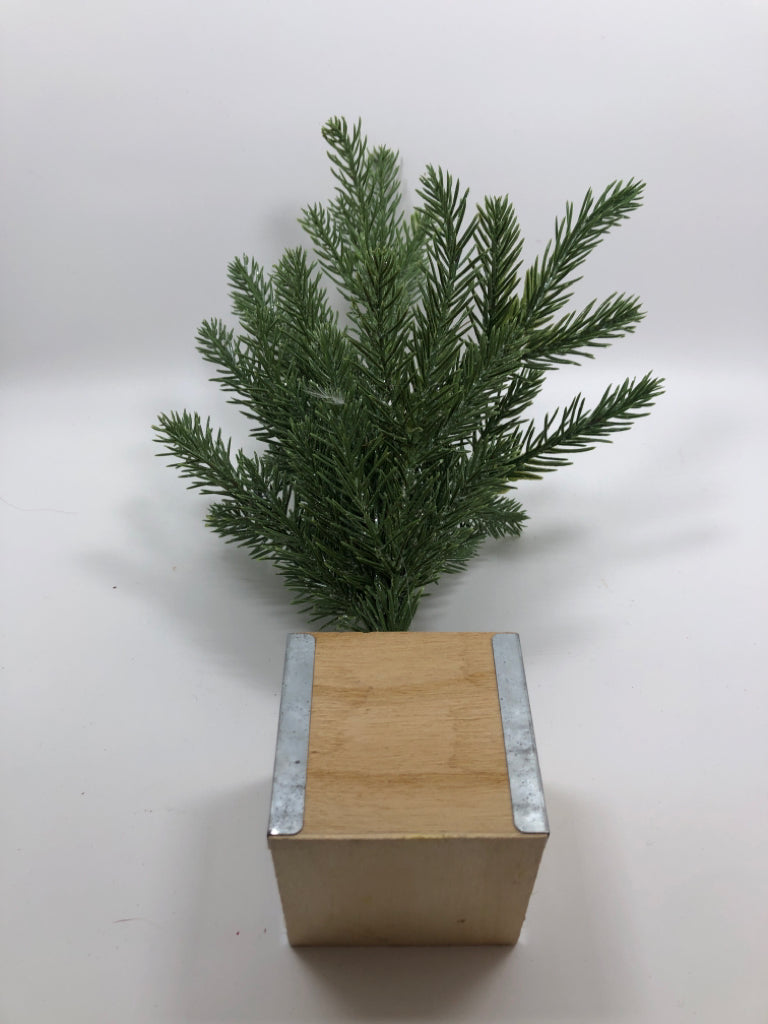 TABLETOP PINE TREE IN SQUARE WOODEN PLANTER.