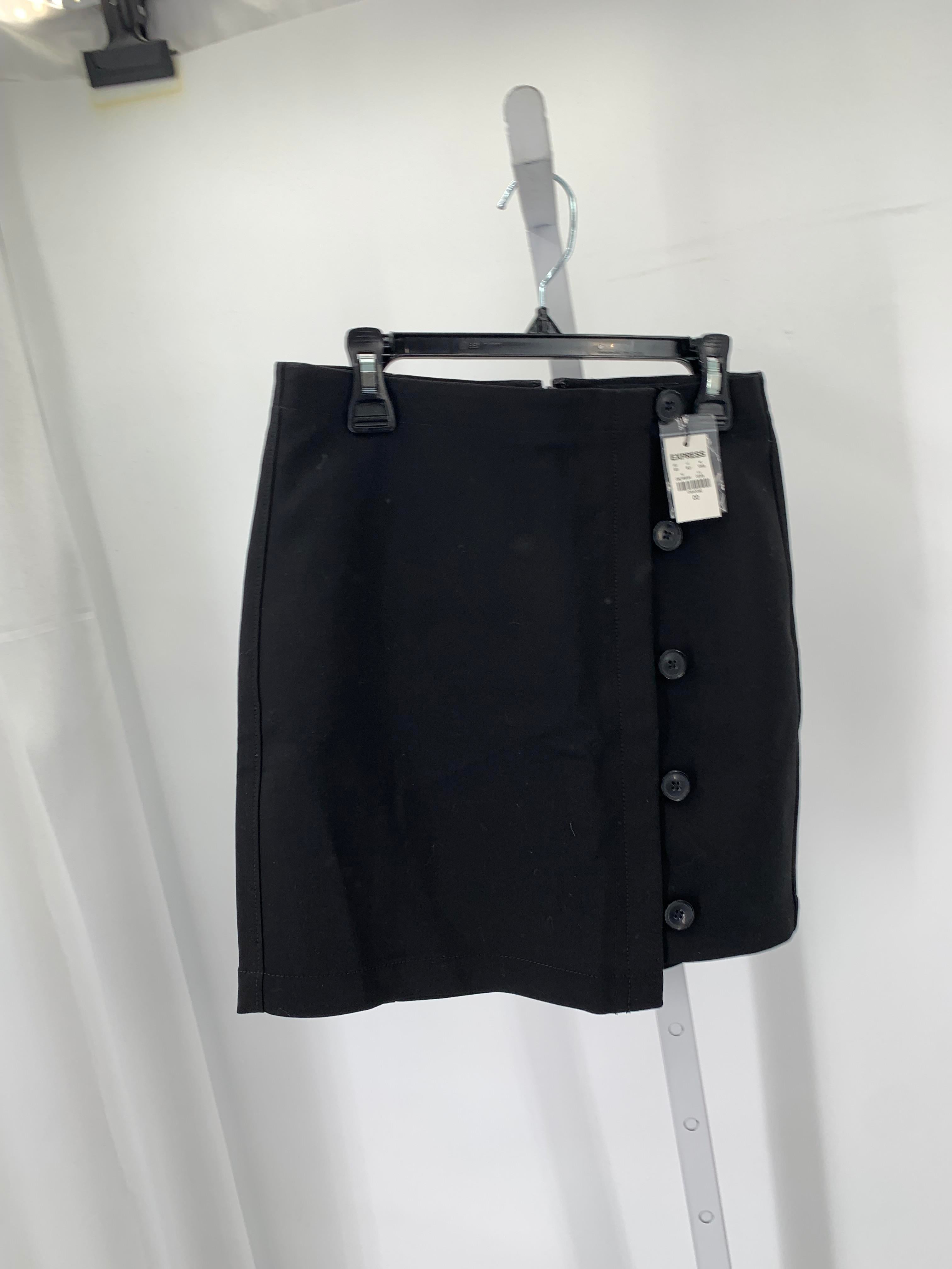 Express Size 00 Misses Skirt