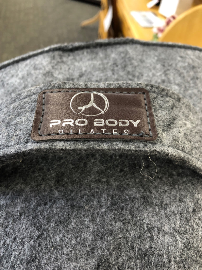 PROBODY GREY PILATES BALL + FELT COVER.
