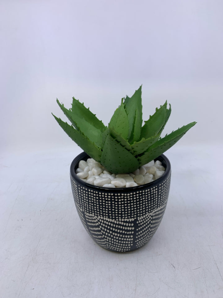 BLACK W/ WHITE DOTS PLANTER WIDE LEAVES WHITE ROCK FILLER.