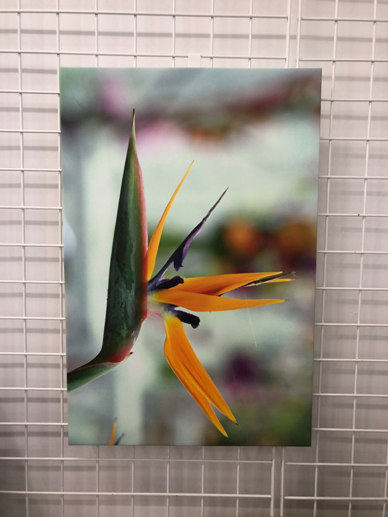 BIRD OF PARADISE PRINT ON CANVAS.