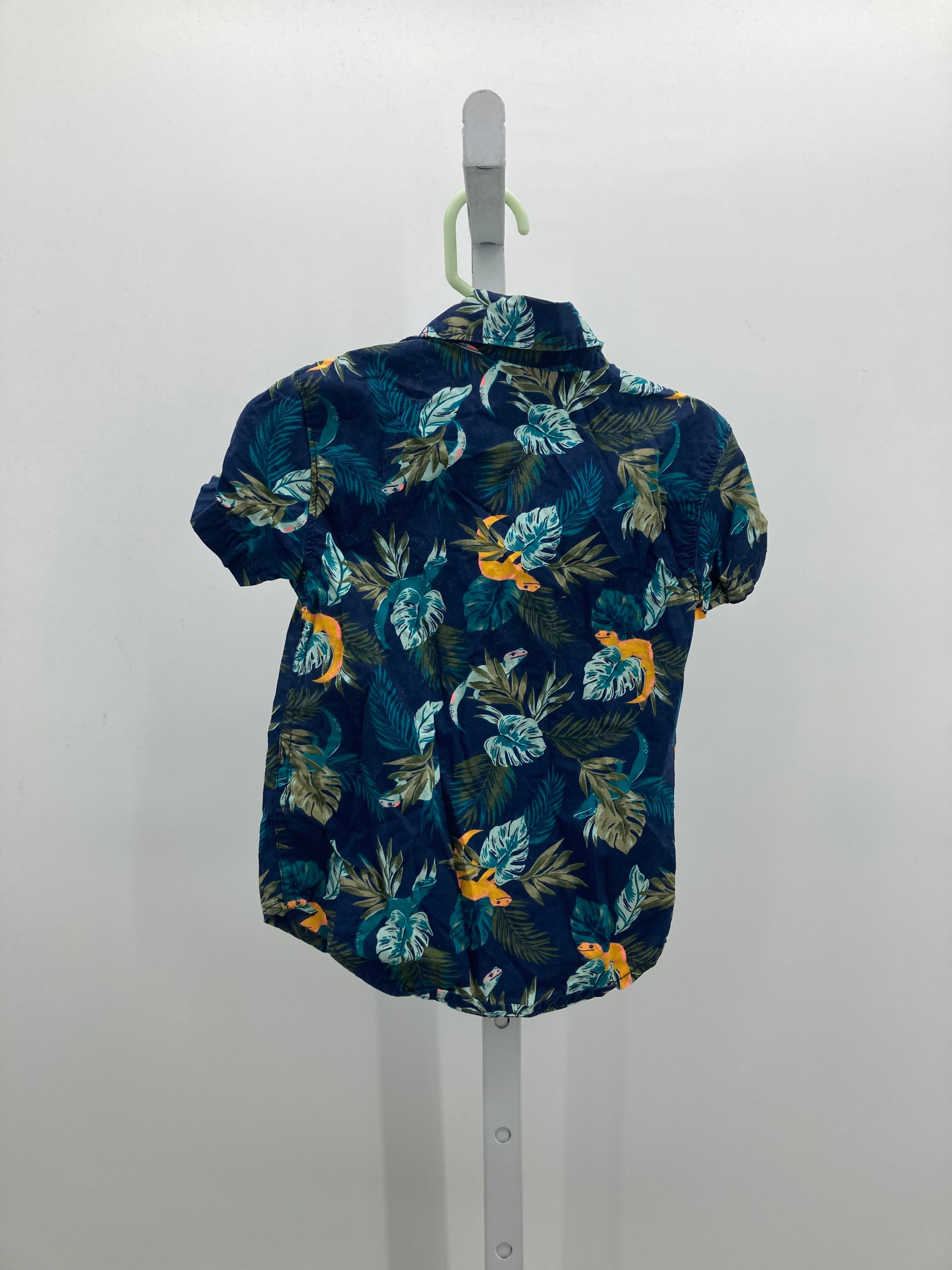 TROPICAL LIZARDS
