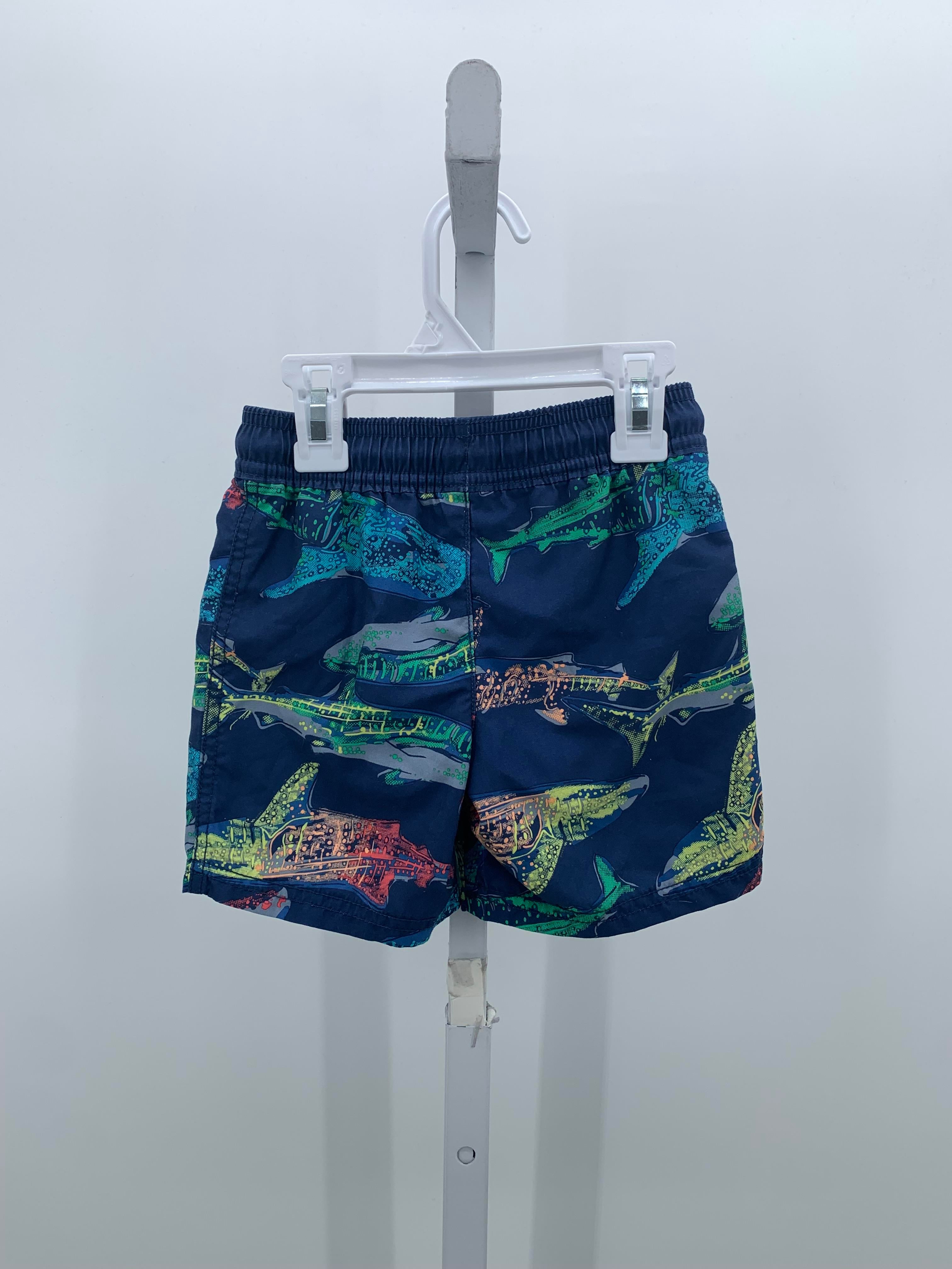 COLORFUL WHALES