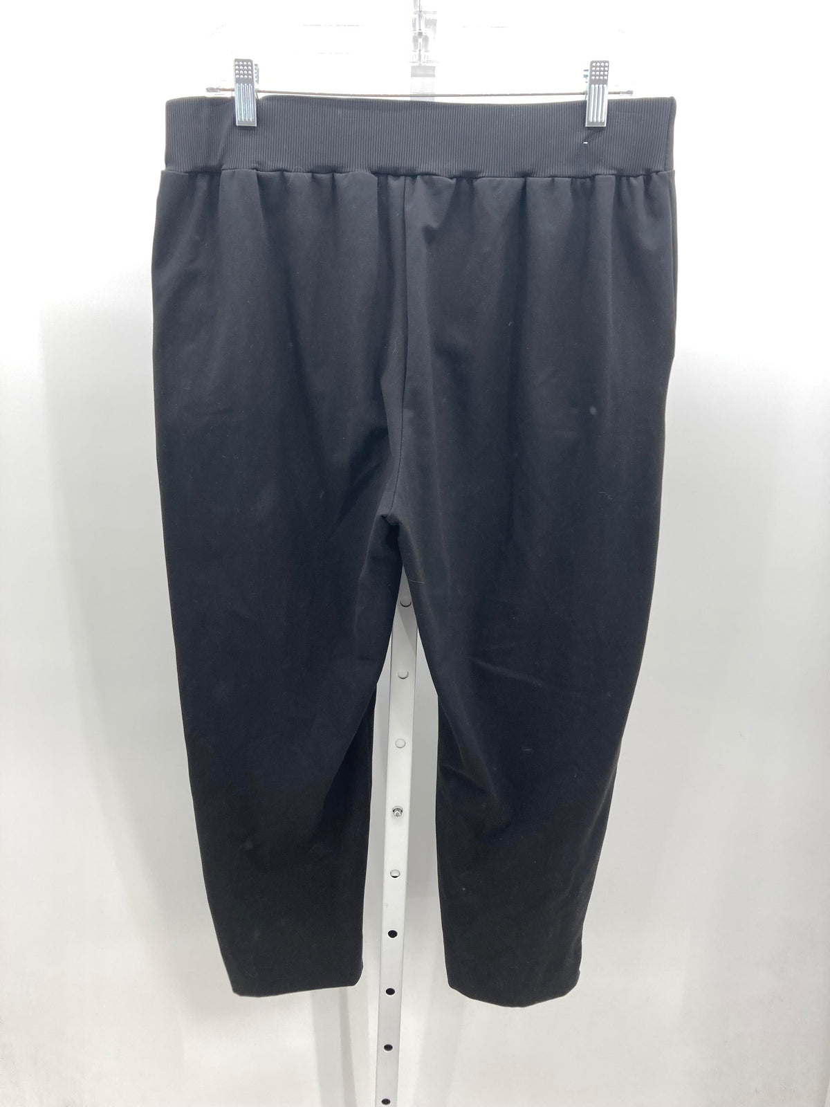 Rachel Zoe Size Large Misses Pants