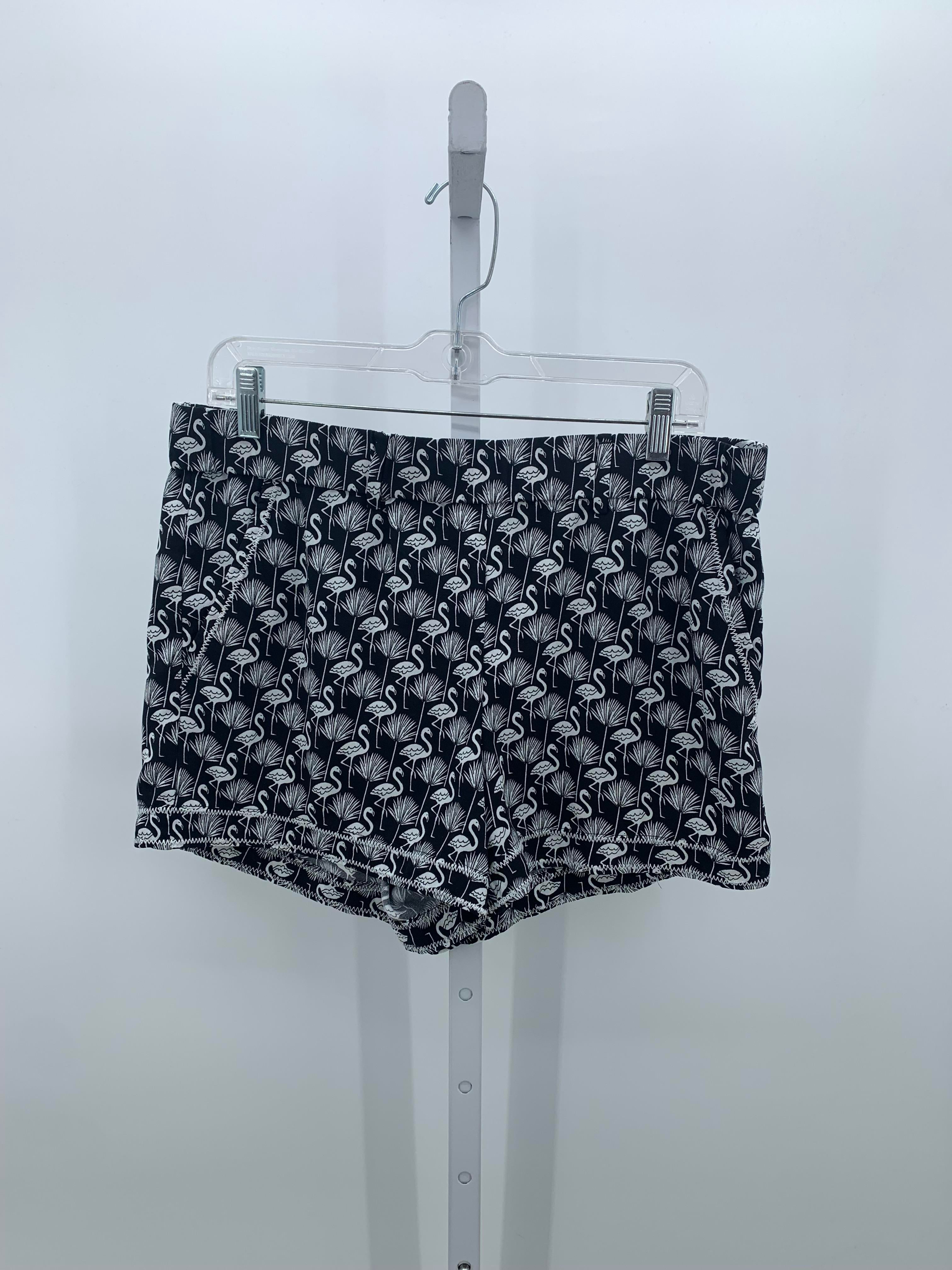 Loft Size Medium Misses Shorts