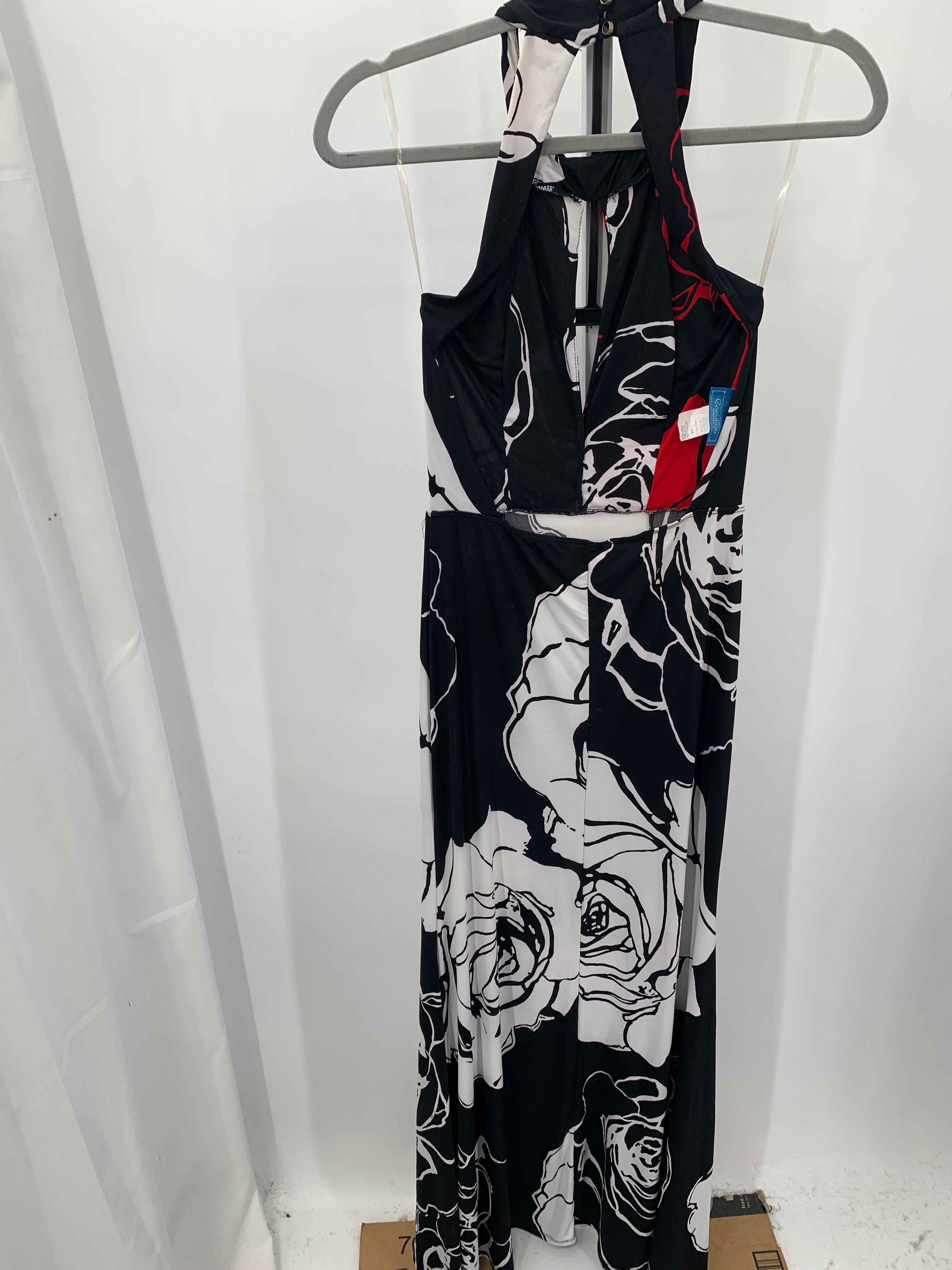 Carolina Size Medium Misses Sleeveless Dress