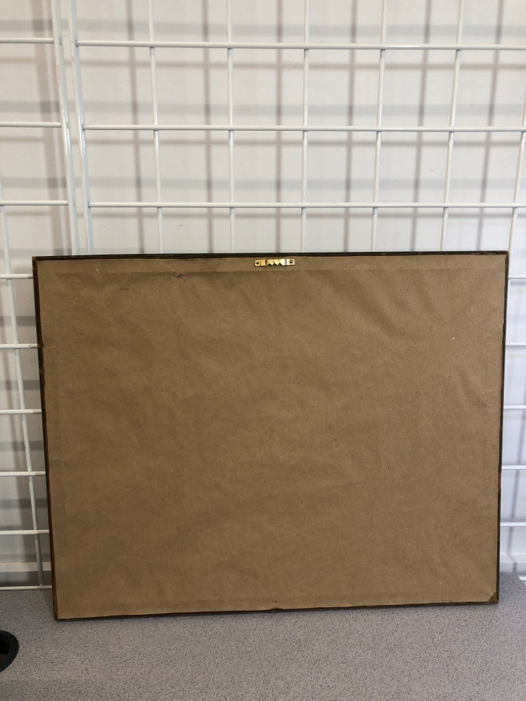 PRESSED LILY FLOWER IN FRAME W/CLASSIFICATION.