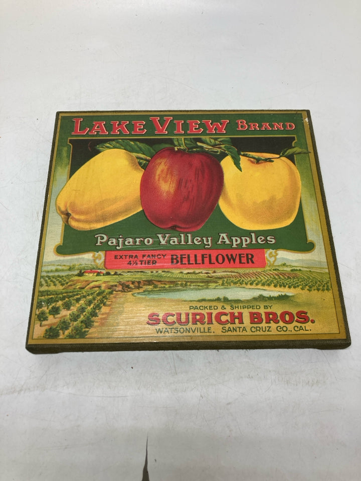 LAKE VIEW BRAND SMALL CANVAS.