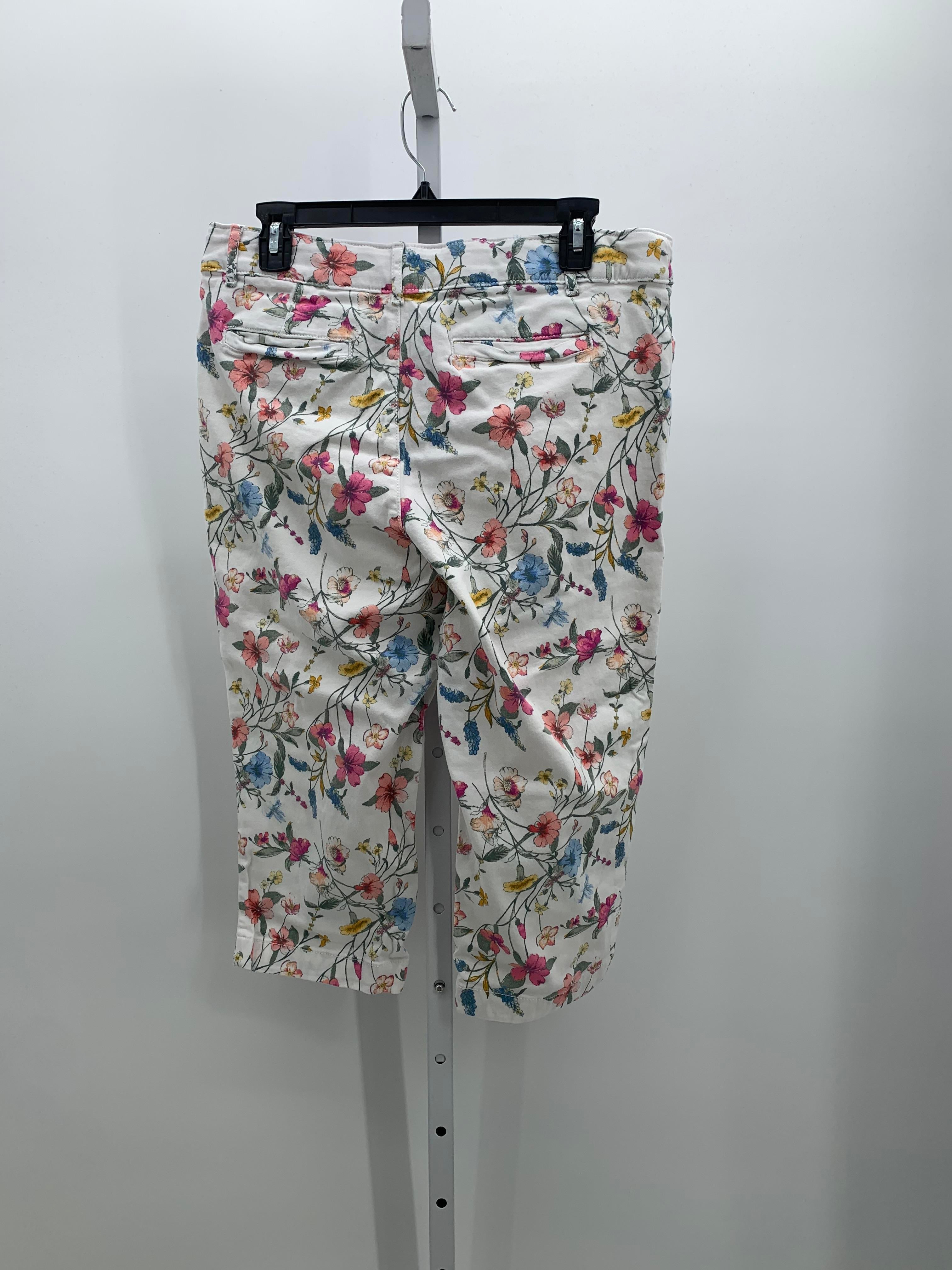 St. Johns Bay Size 12 Misses Capri Pants