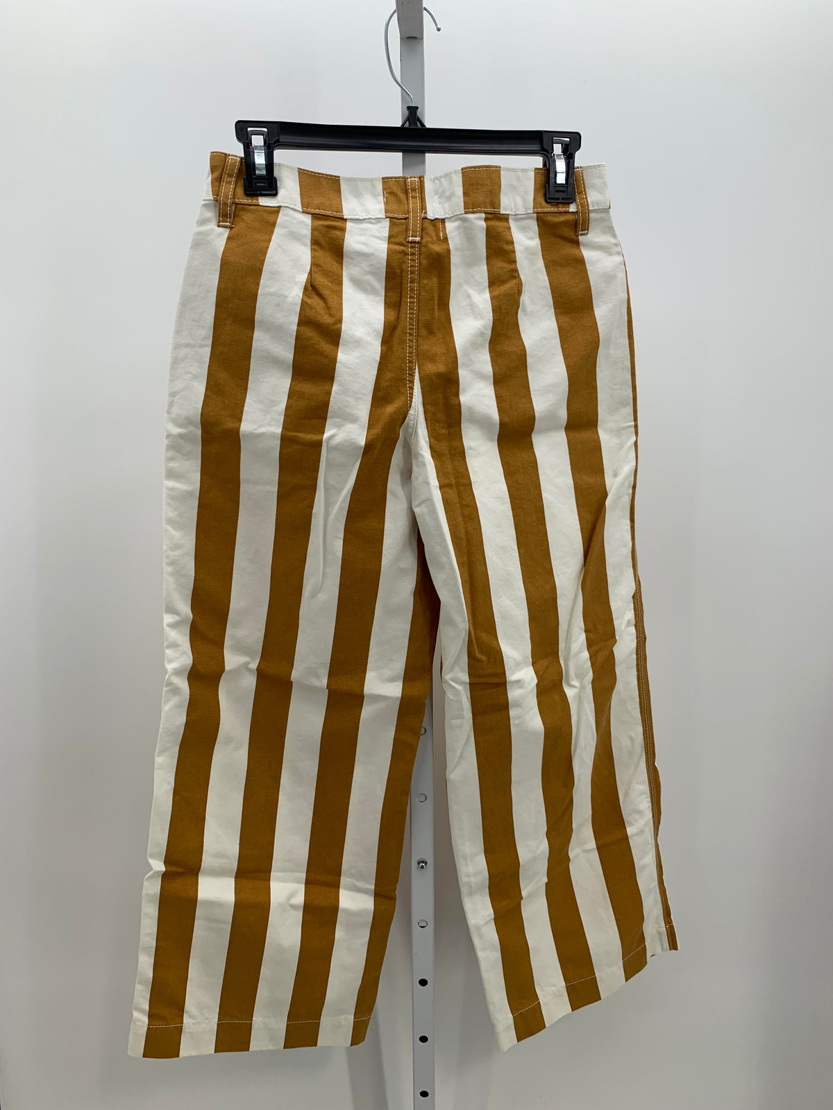 BDG Size 2 Juniors Pants
