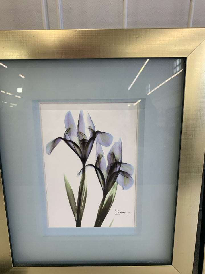 3PC FRAMED BLUE BOTANICAL X-RAY PRINTS ALBERT KOETSIER.