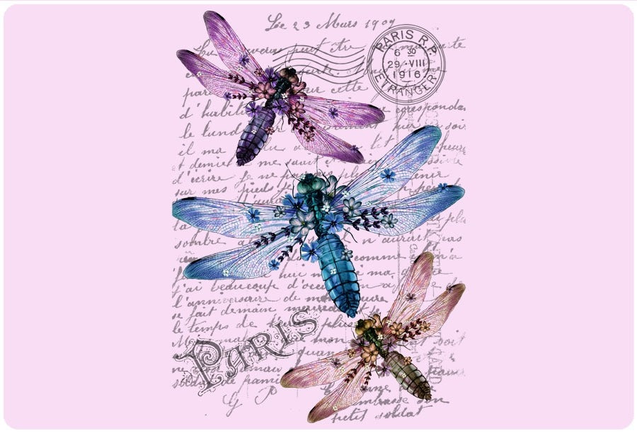 New - Andreas Silicon Jar Opener - AL Paris Dragonfly
