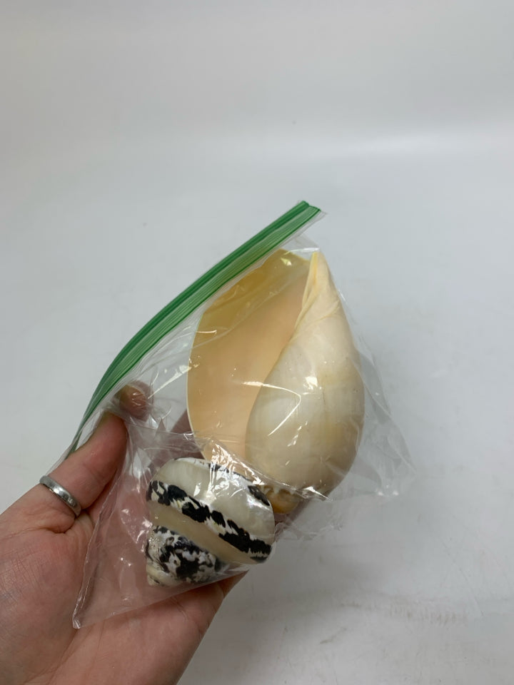 ASSORTED SHELLS IN BAG.