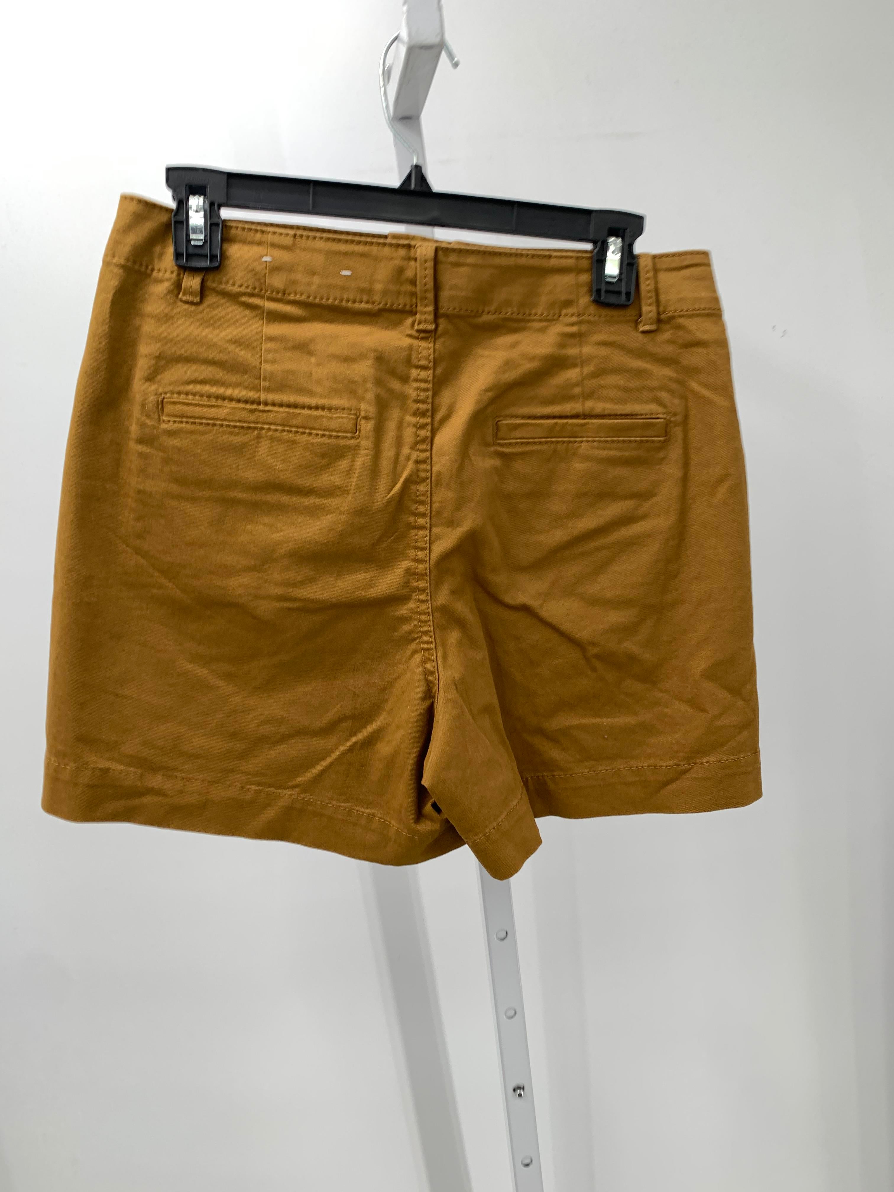 Loft Size 4 Misses Shorts