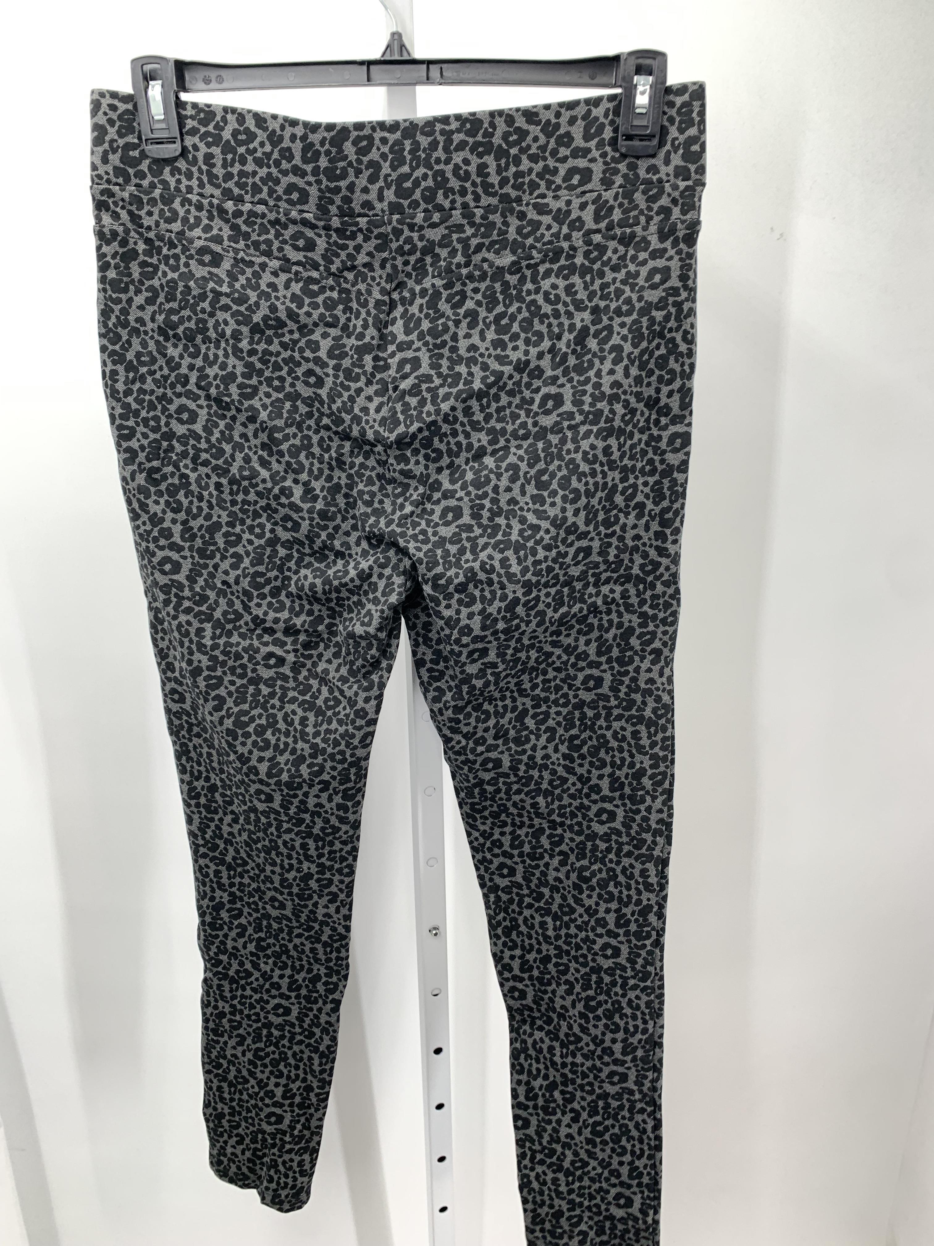 Loft Size Large Misses Pants