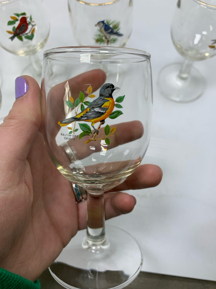 6 SMALL CORDIAL GLASSES W/ PRINTED NEW ENGLAND BIRDS.