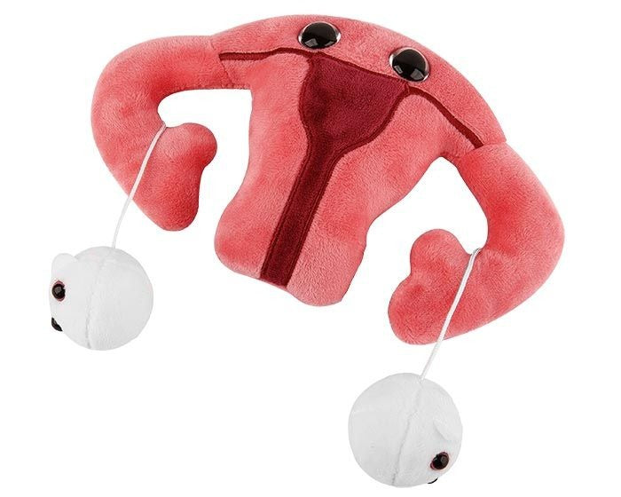 GIANT Microbes Uterus