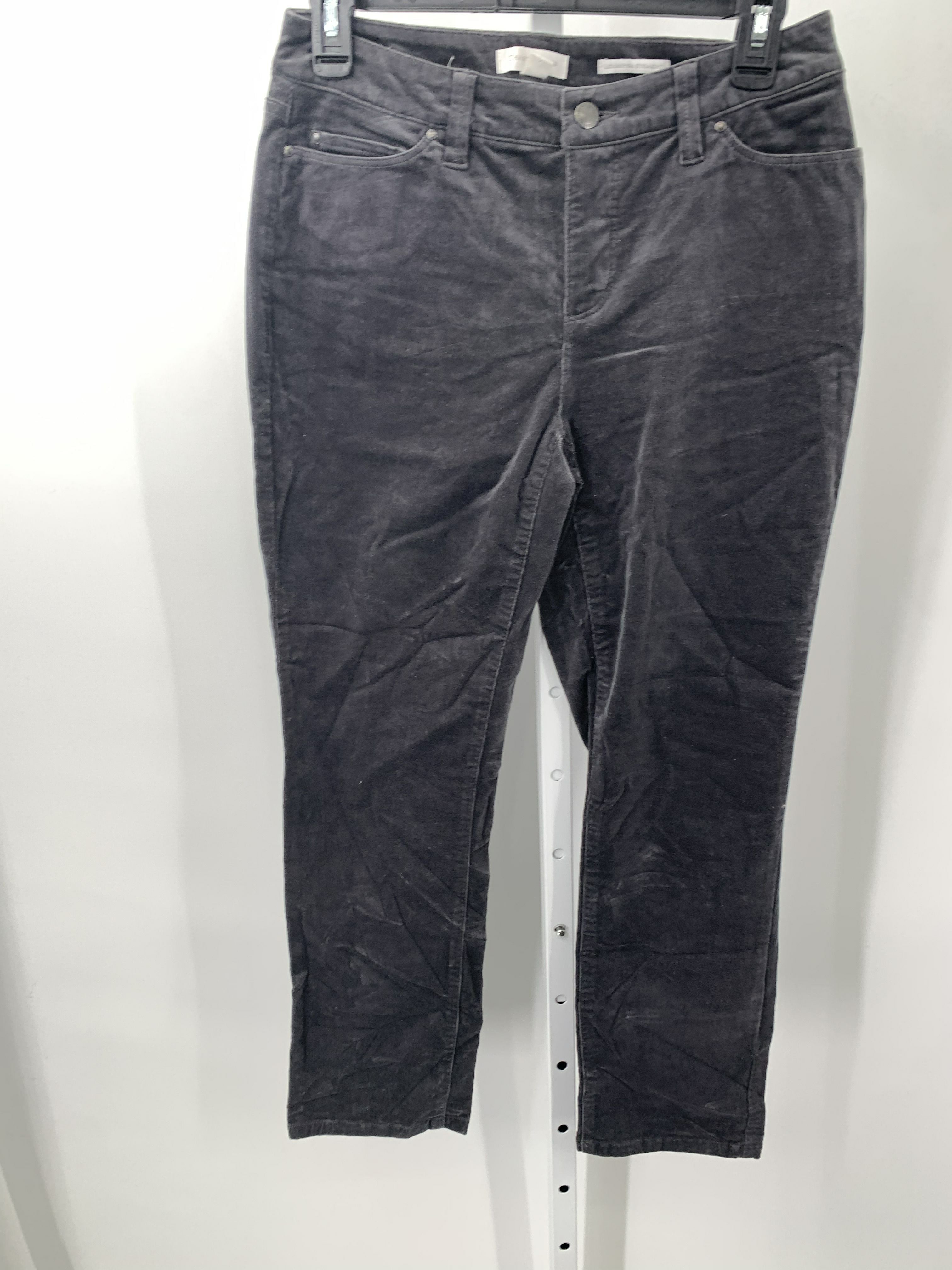 Charter Club Size 4 Petite Petite Pants