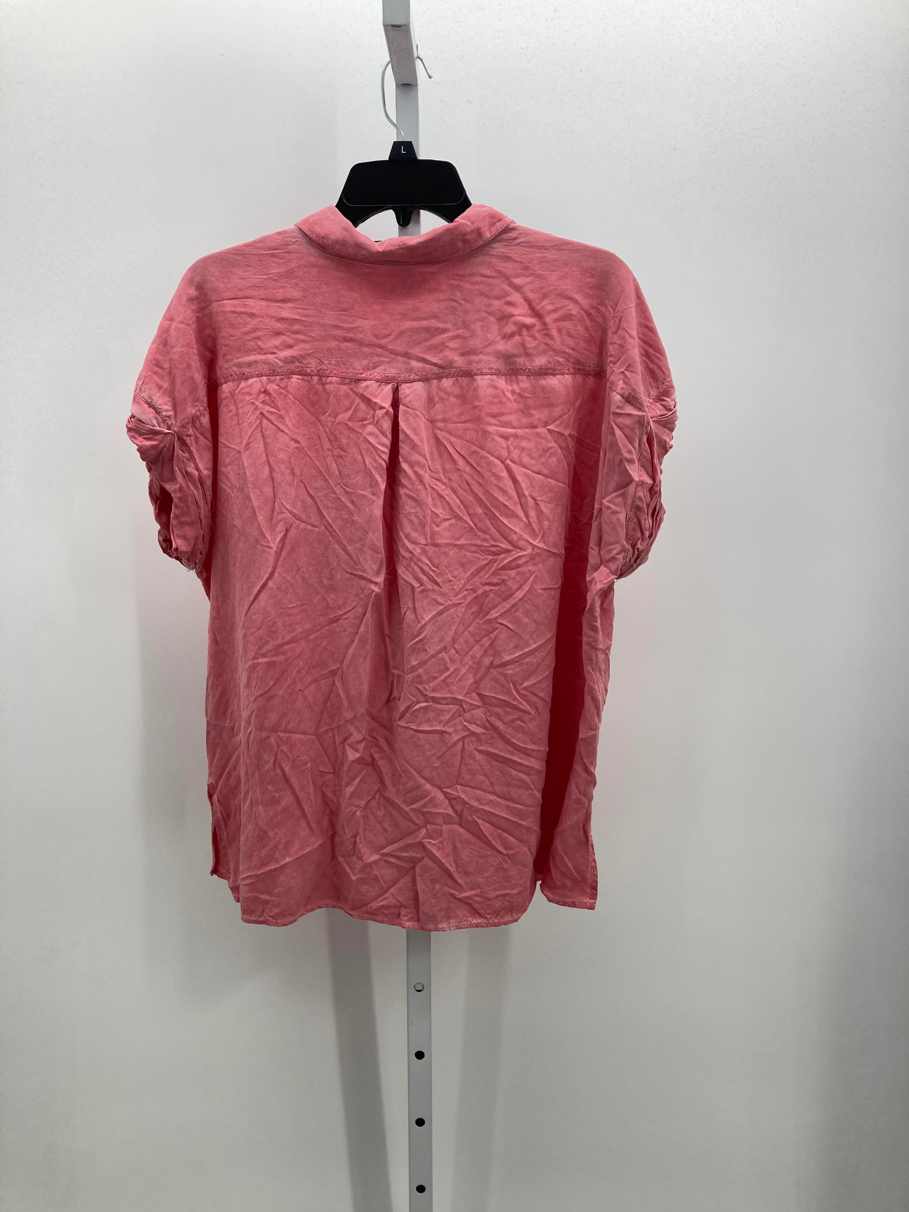 Velvet Heart Size Extra Large Juniors Short Sleeve Shirt