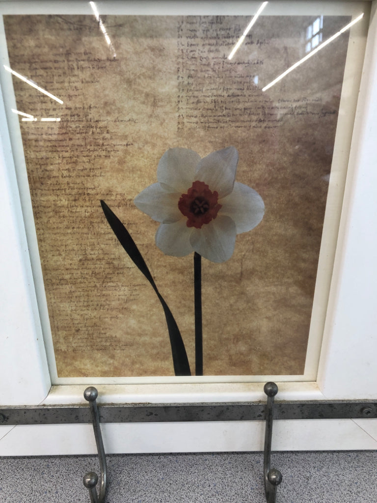 DAFFODIL IN WHITE DECORATIVE FRAME.