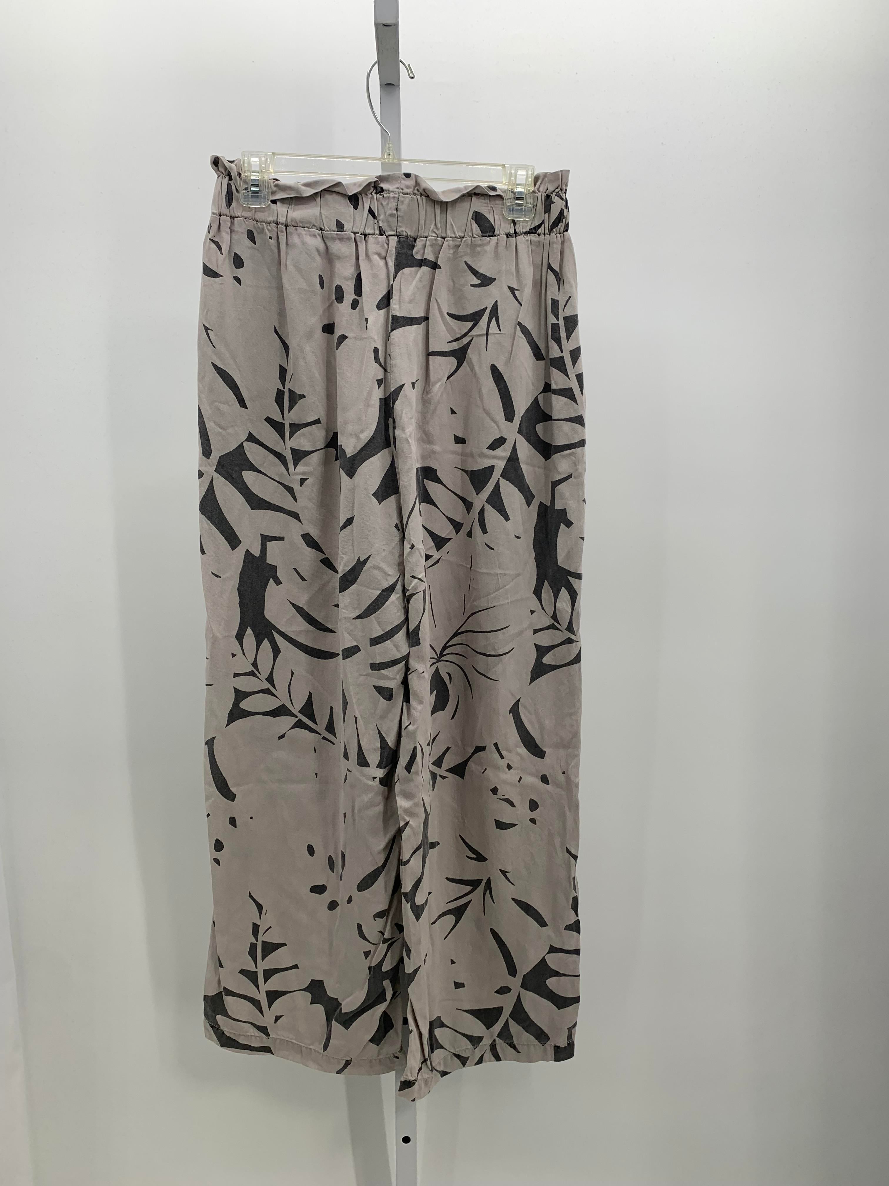 Jane + Delancey Size Medium Misses Pants