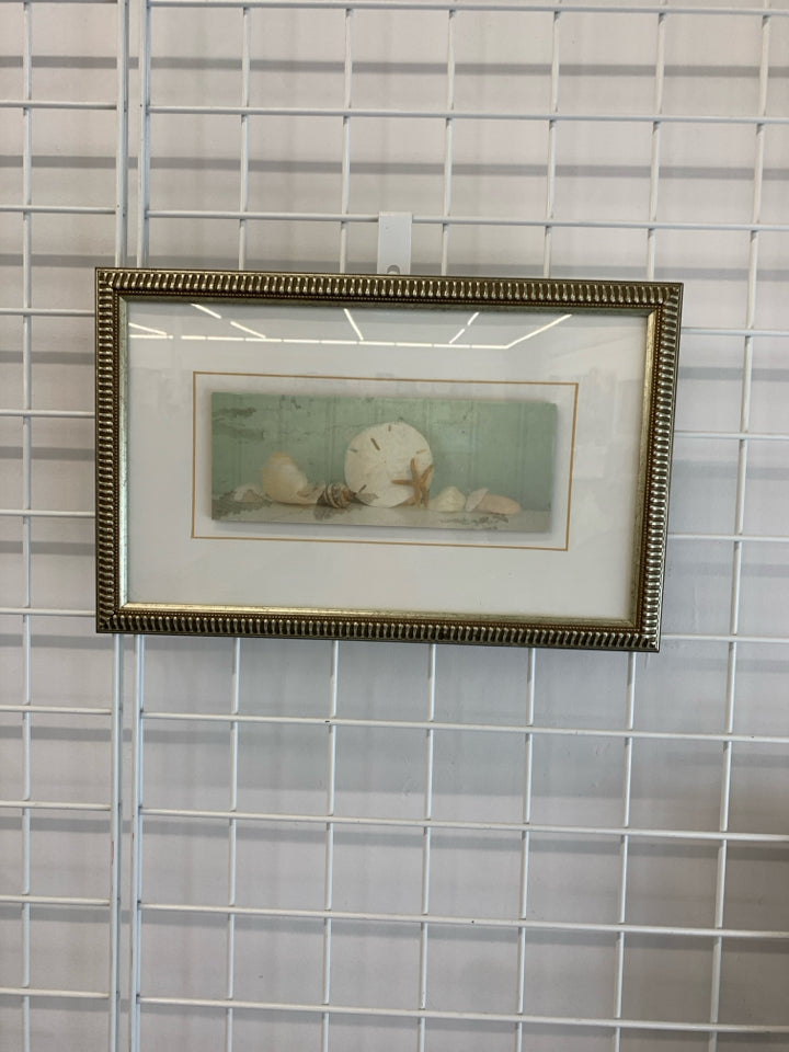 RAISED SEASHELL STILL-LIFE IN FRAME.